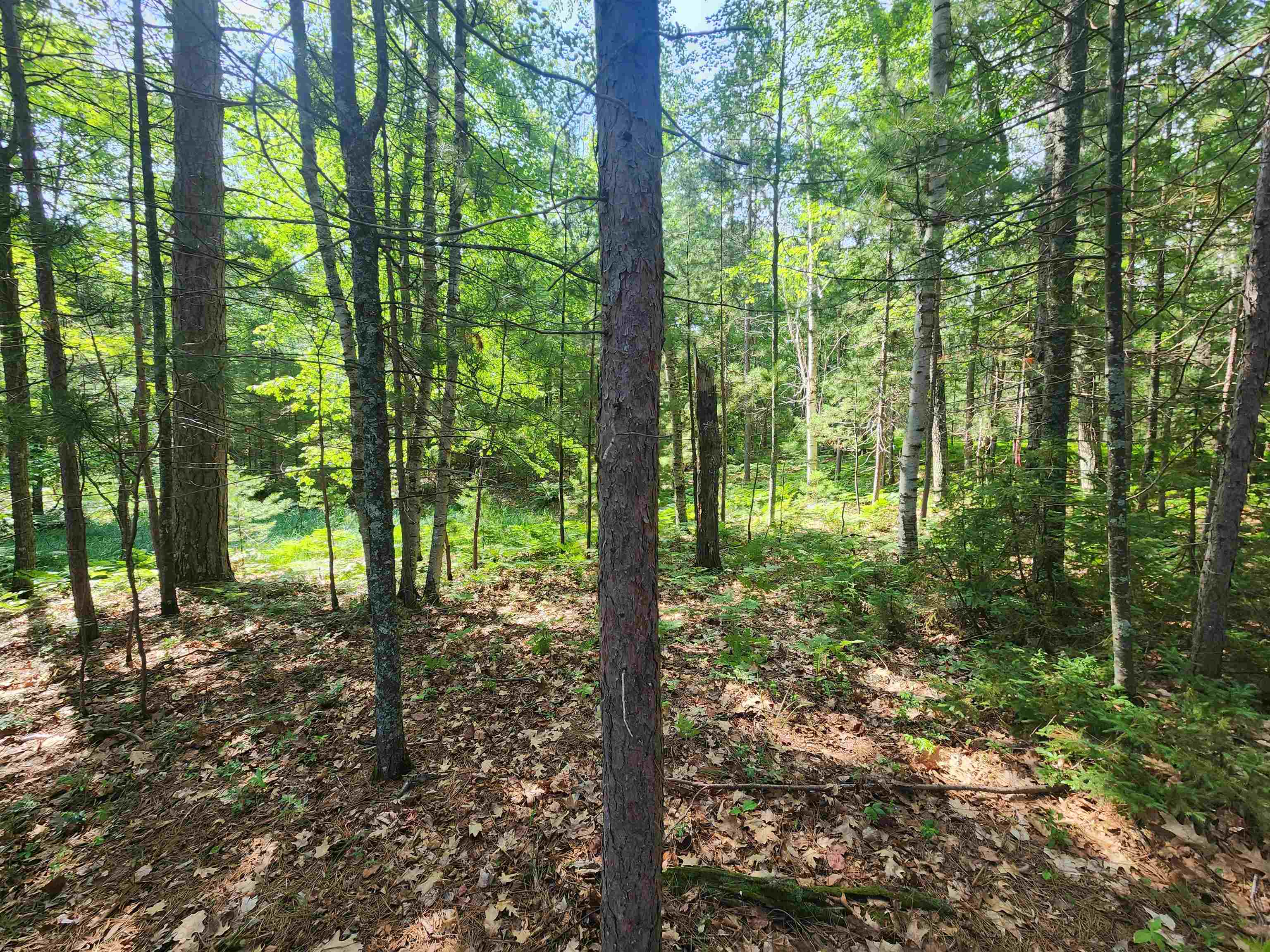 Property photo 18