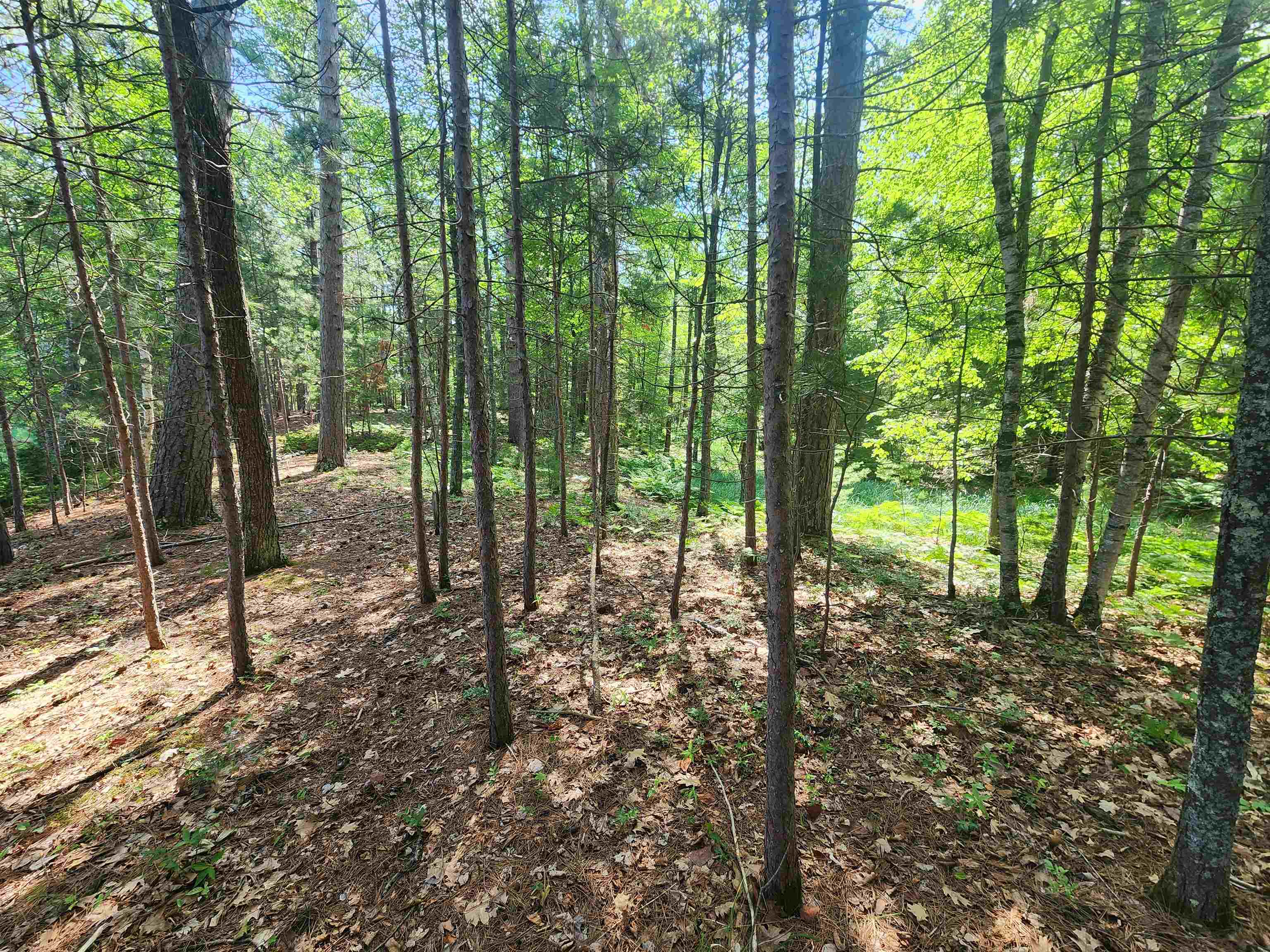 Property photo 21