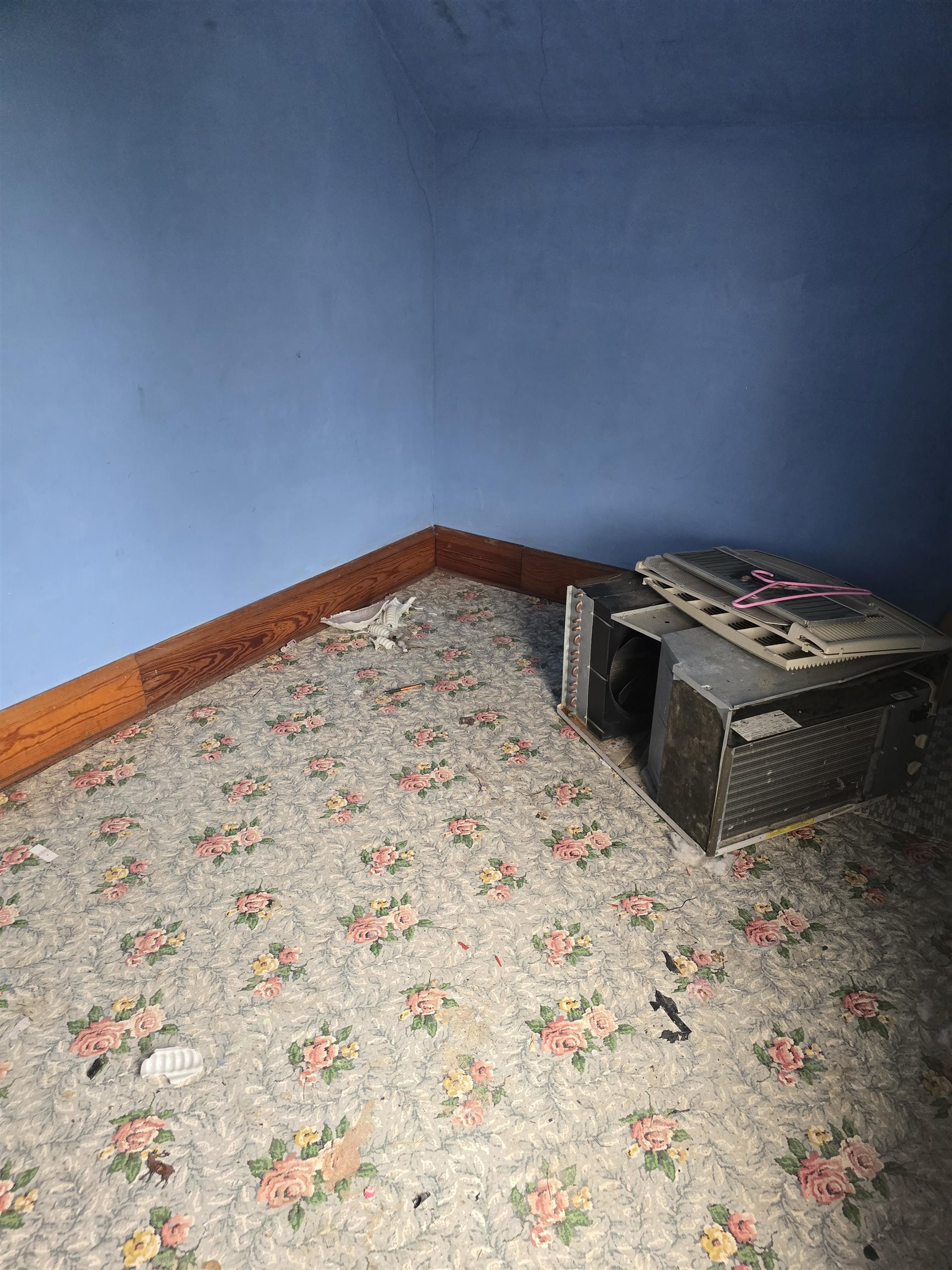 Property photo 39