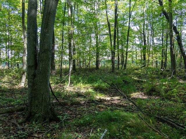 Property photo 11