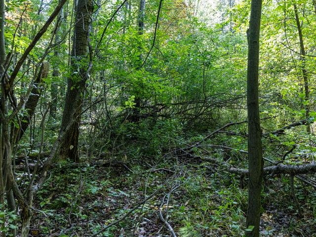 Property photo 15