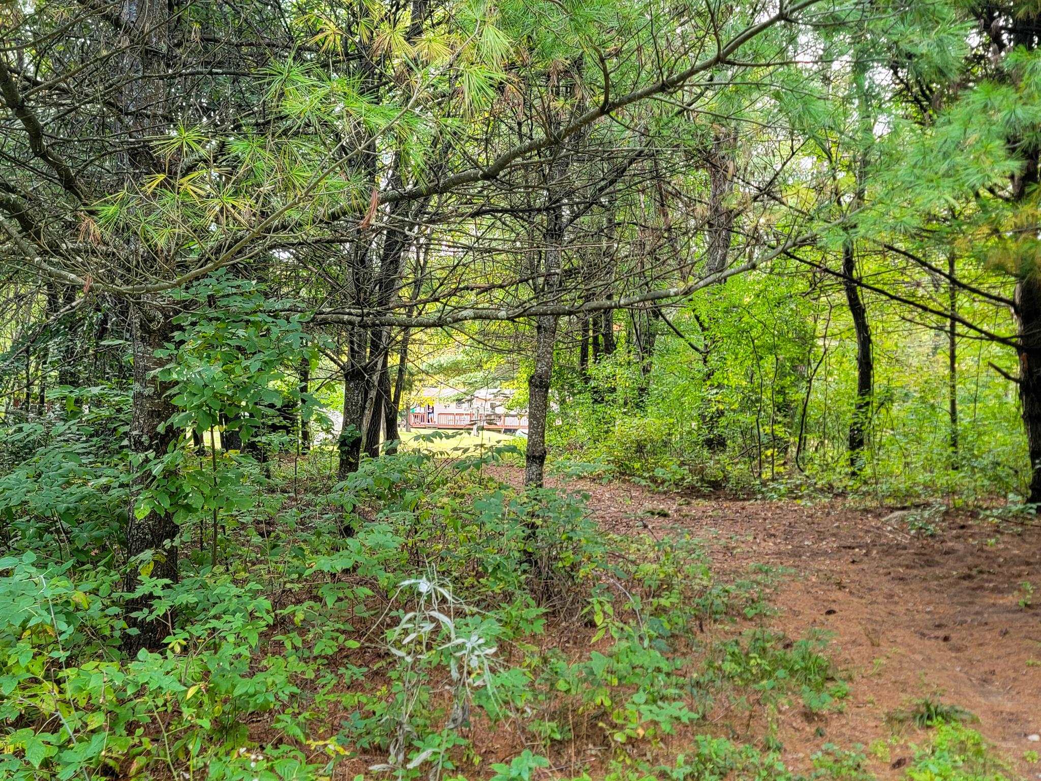 Property photo 31