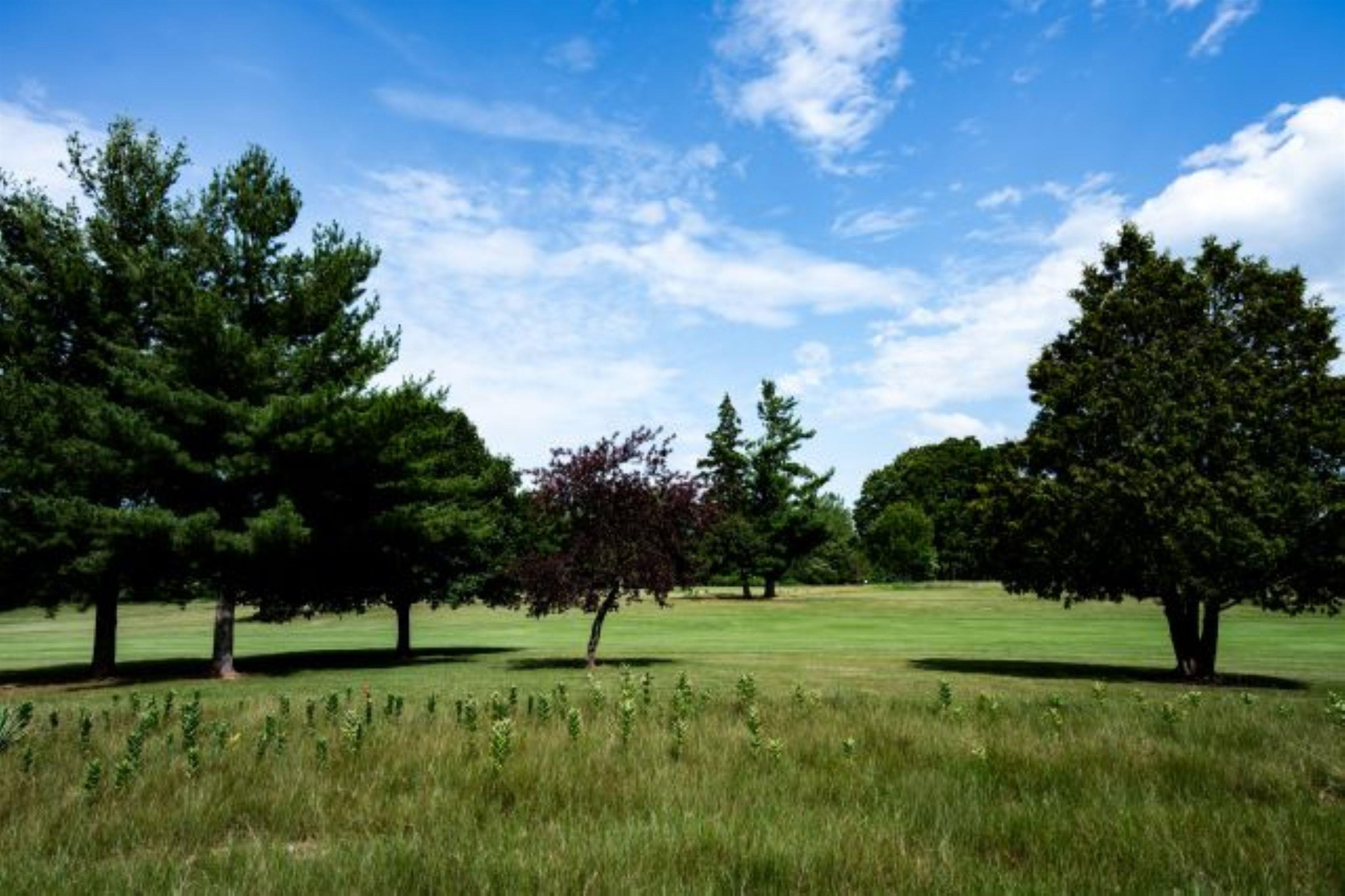 Property photo 54