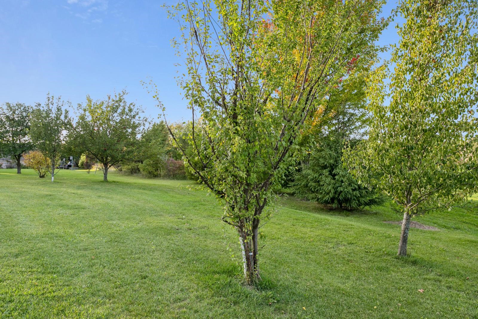 Property photo 27