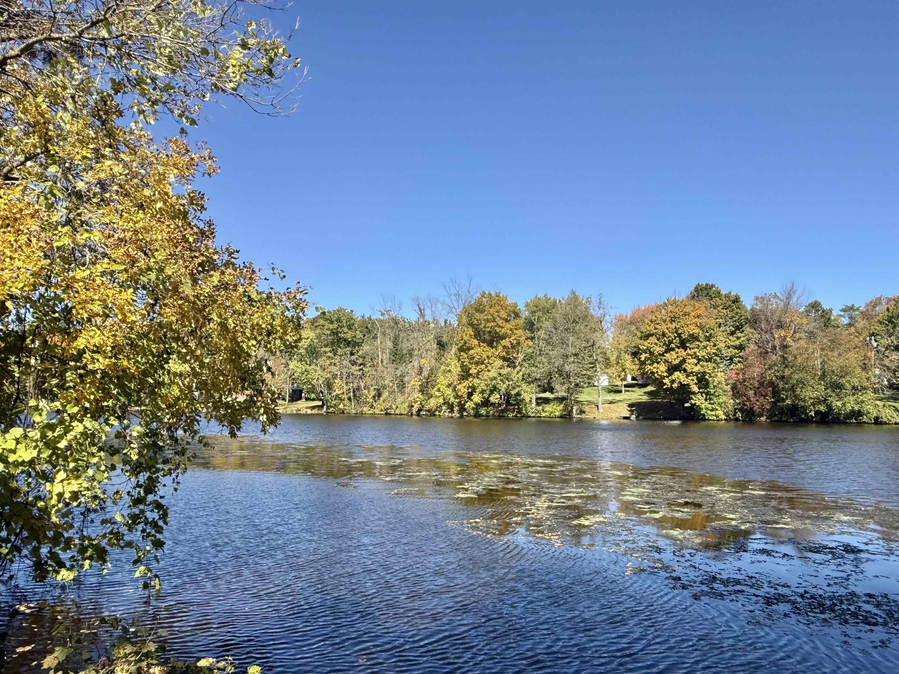 Property photo 37