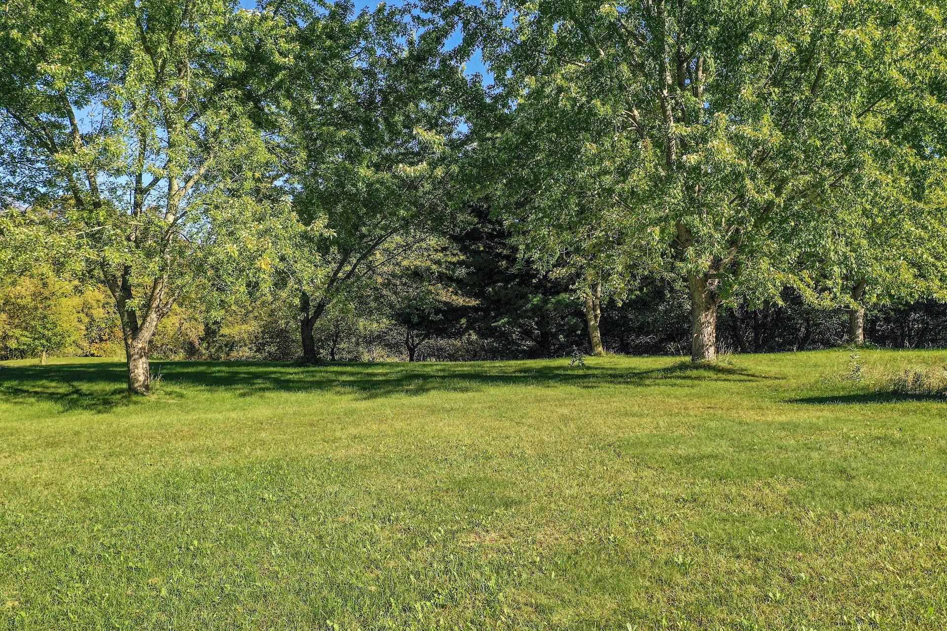 Property photo 57