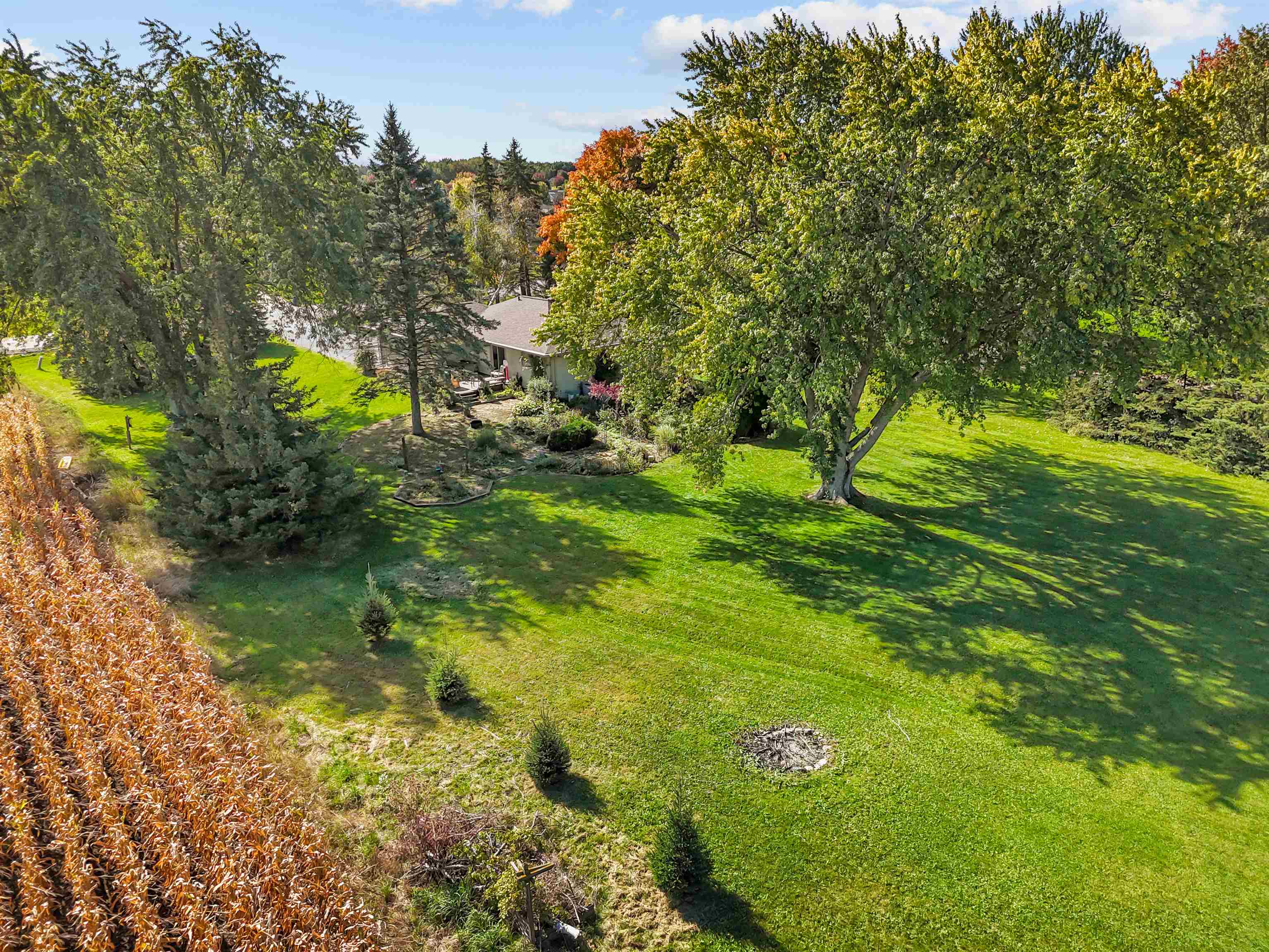 Property photo 42
