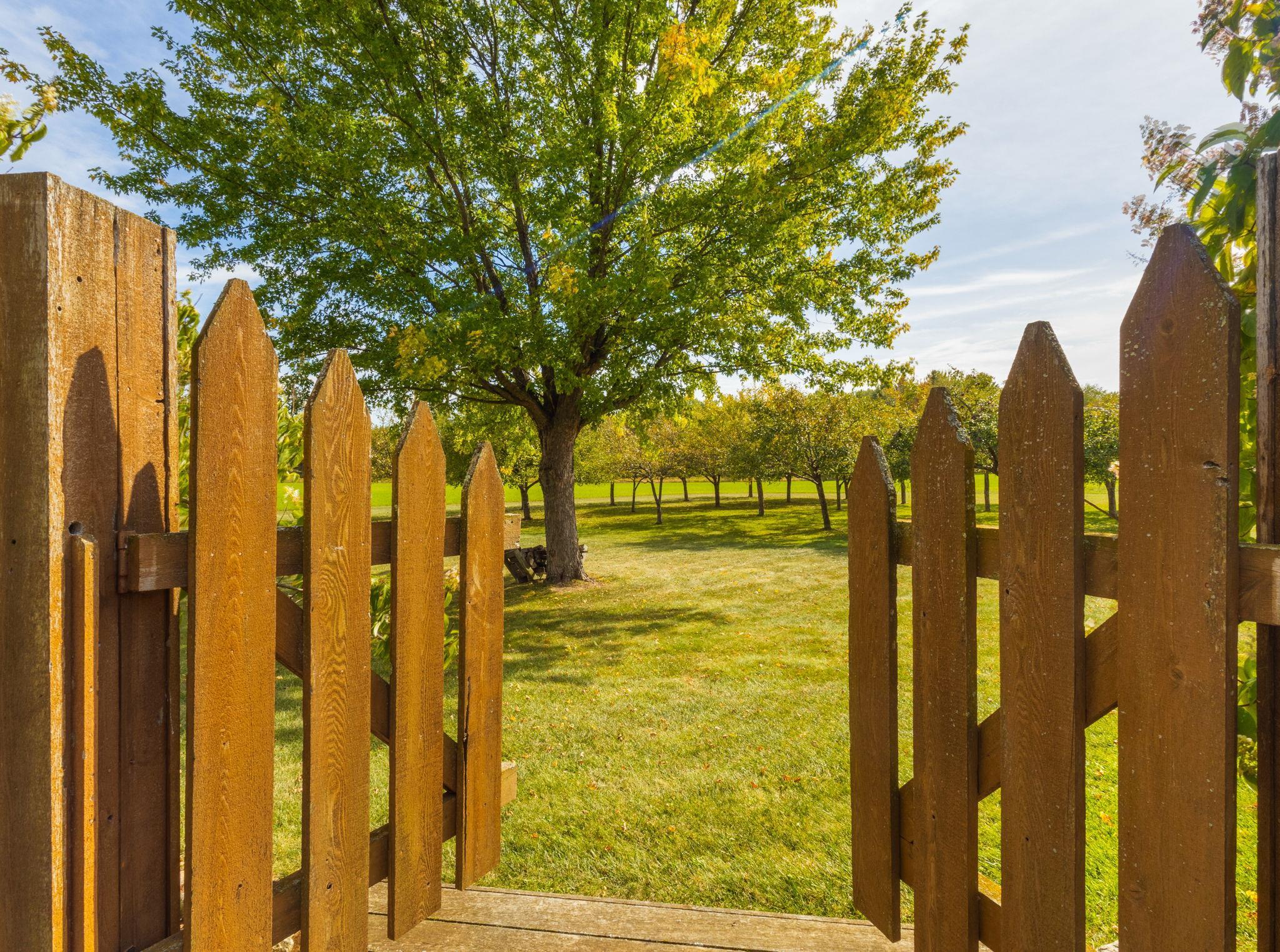 Property photo 49