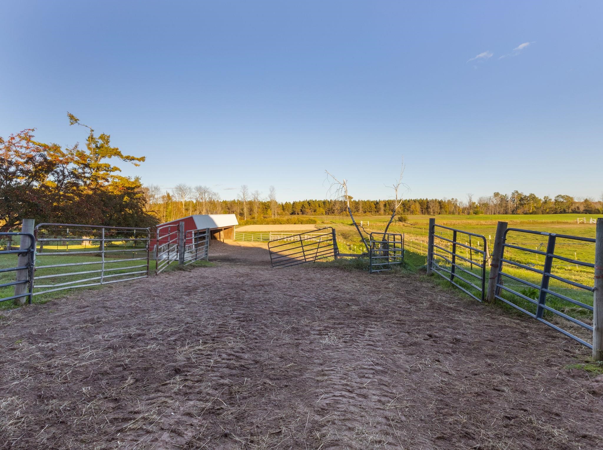 Property photo 43