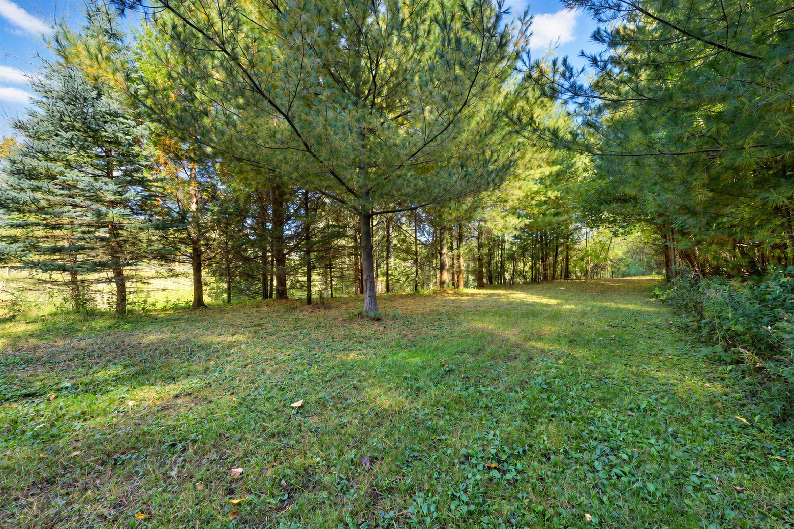 Property photo 28