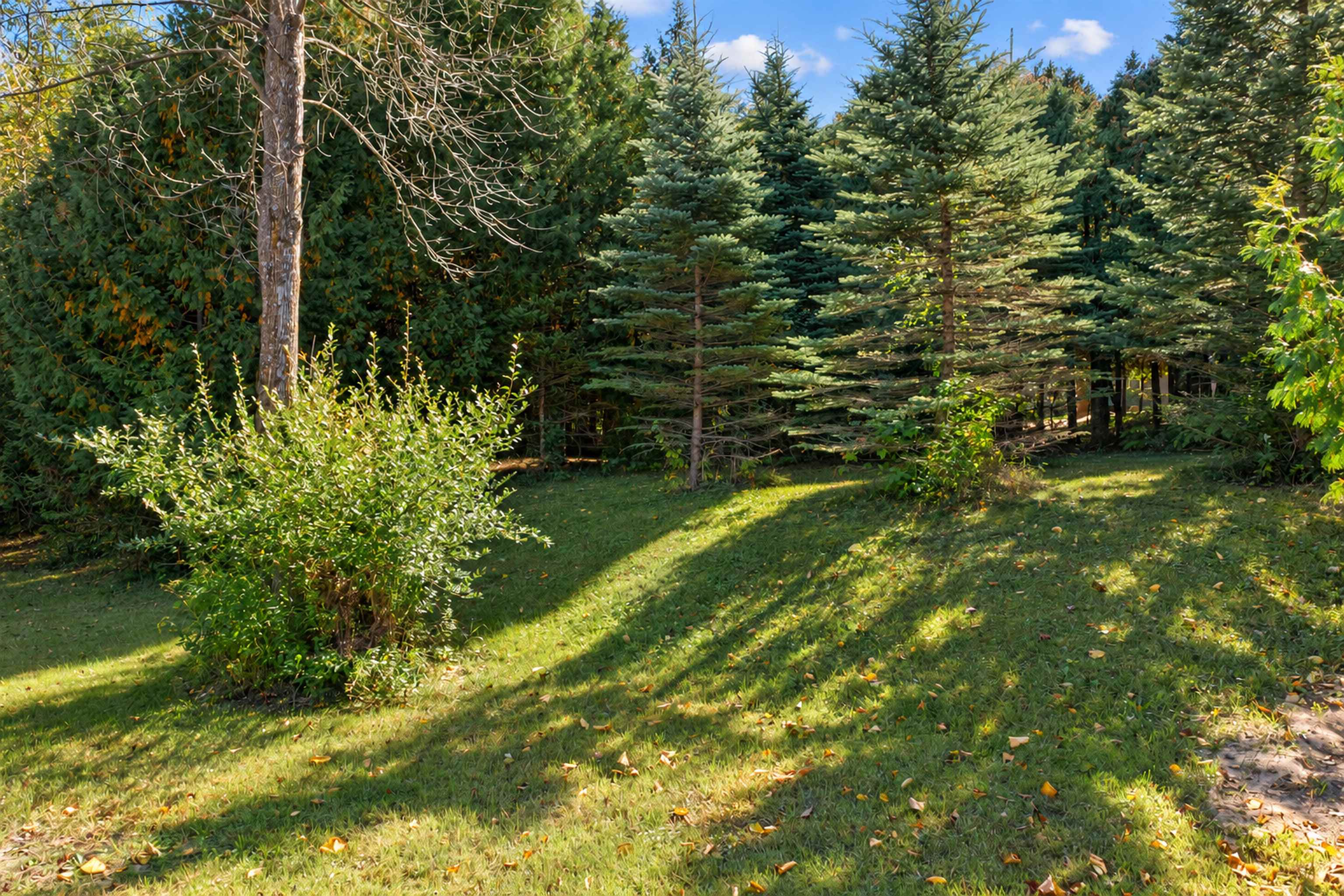 Property photo 31
