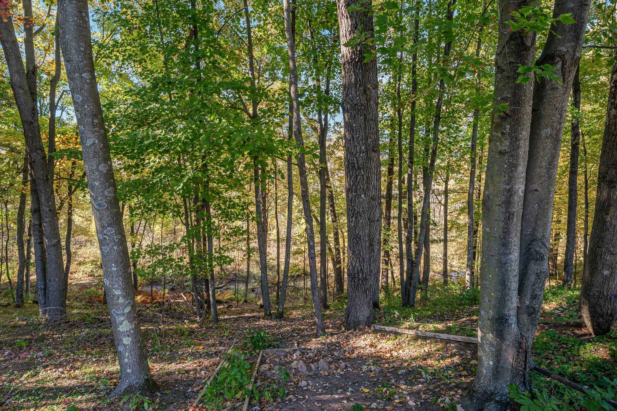 Property photo 45