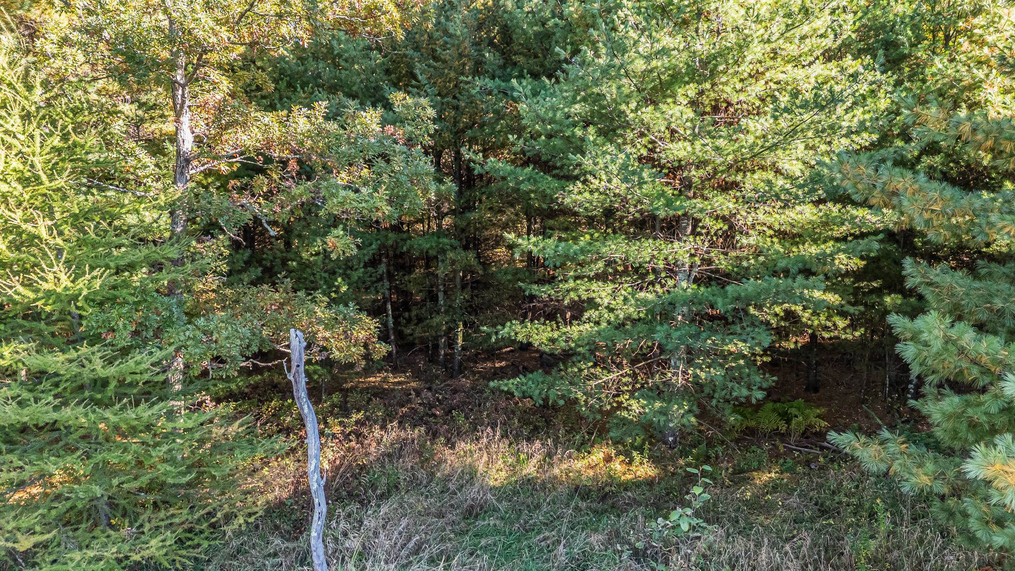 Property photo 67