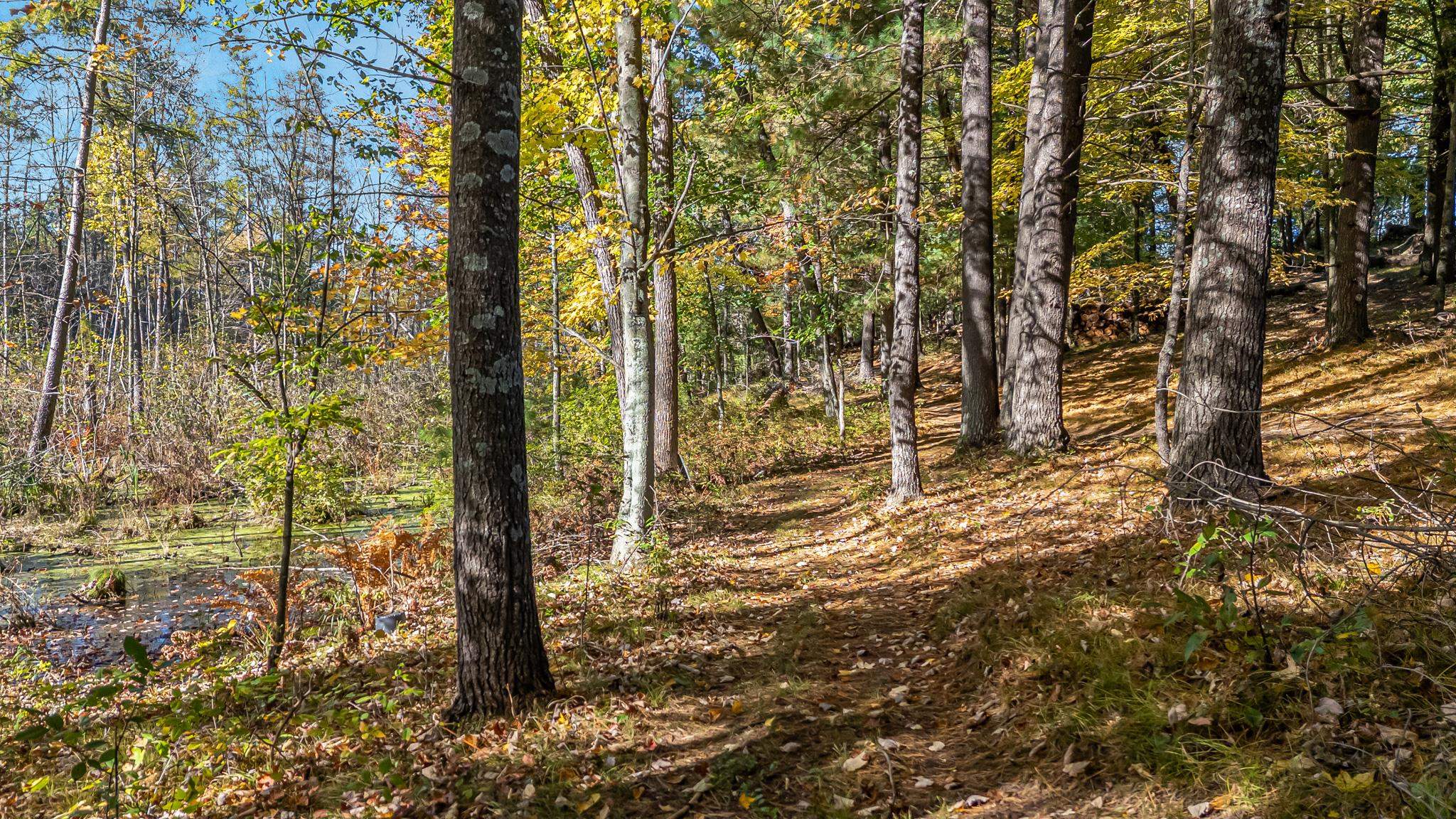 Property photo 69