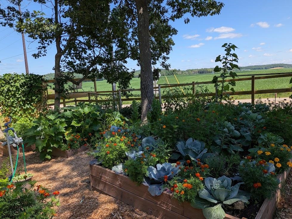 Property photo 87