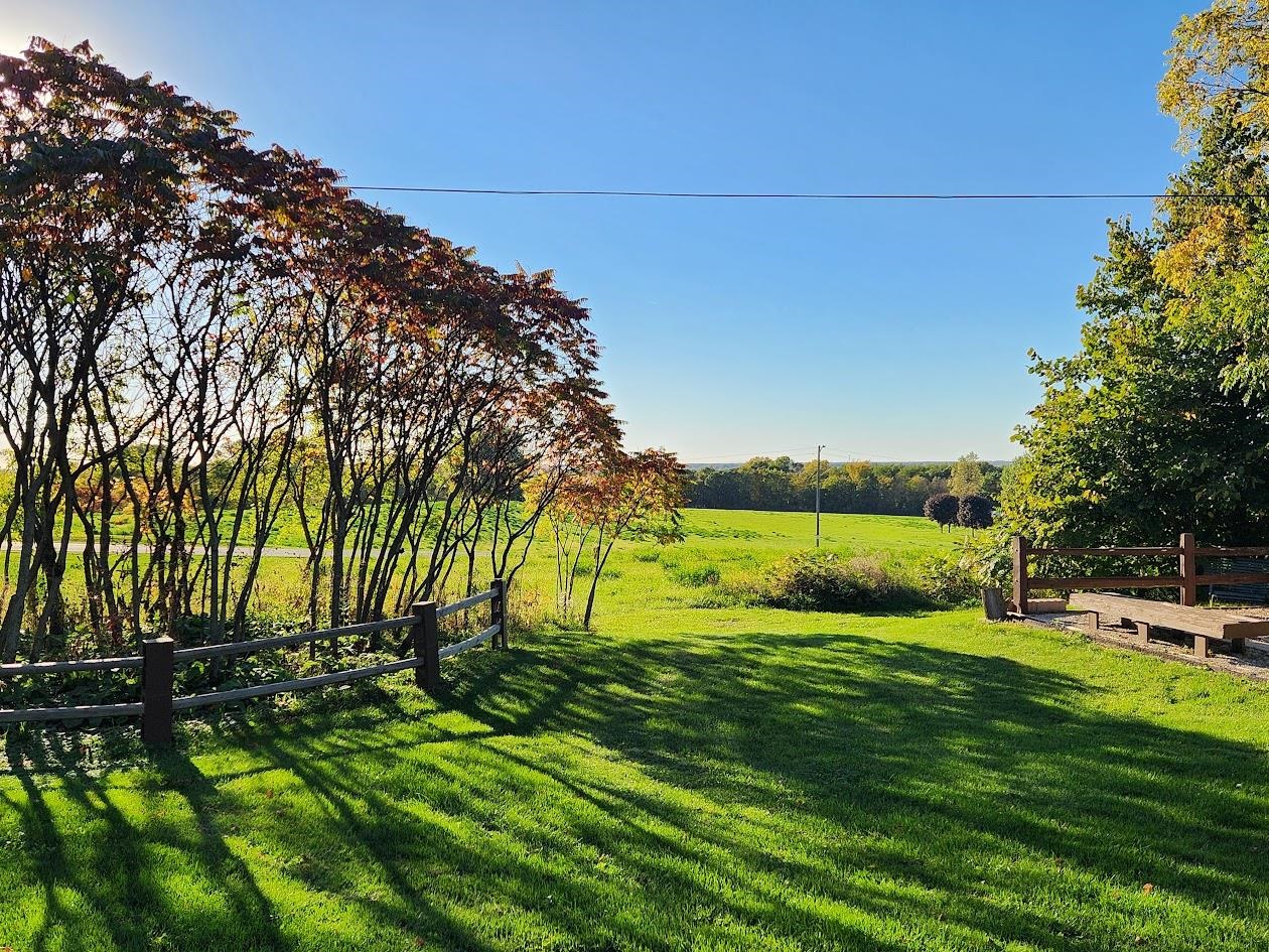 Property photo 19