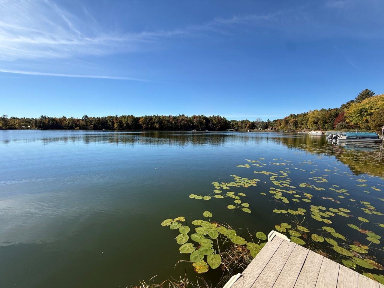 Property photo 49