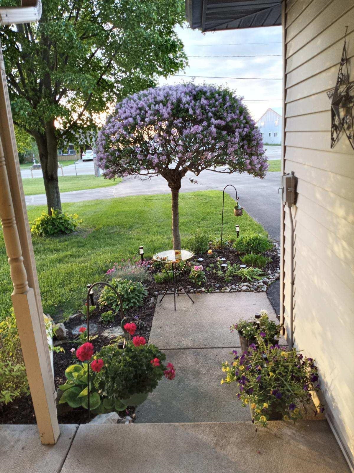 Property photo 32