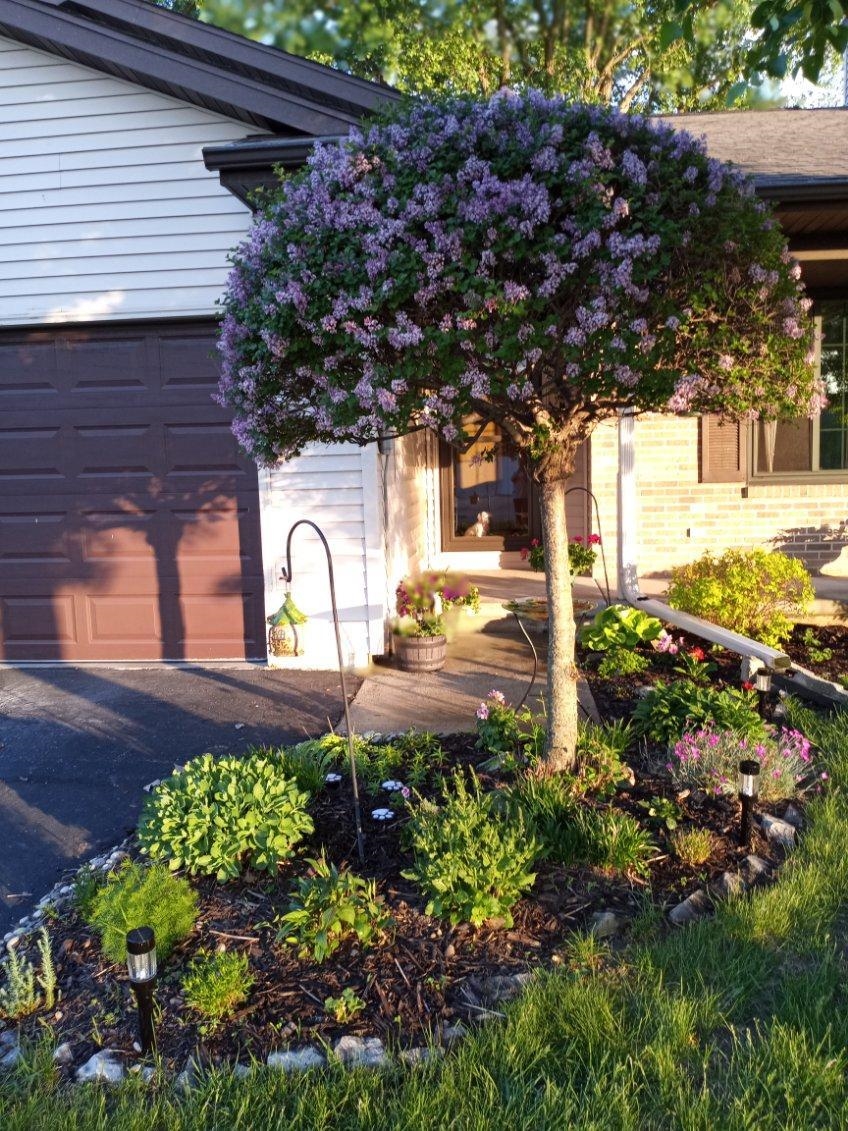Property photo 33