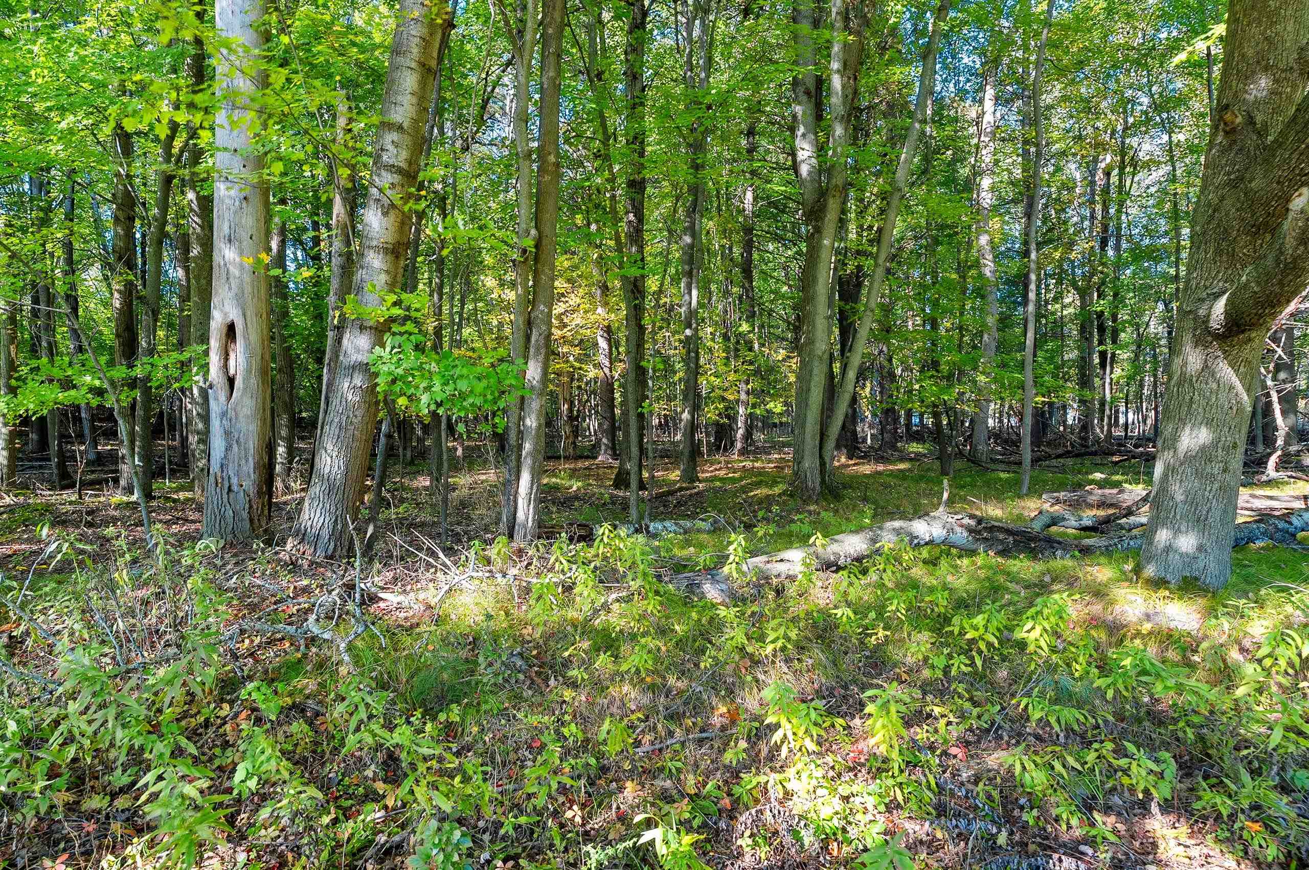 Property photo 53