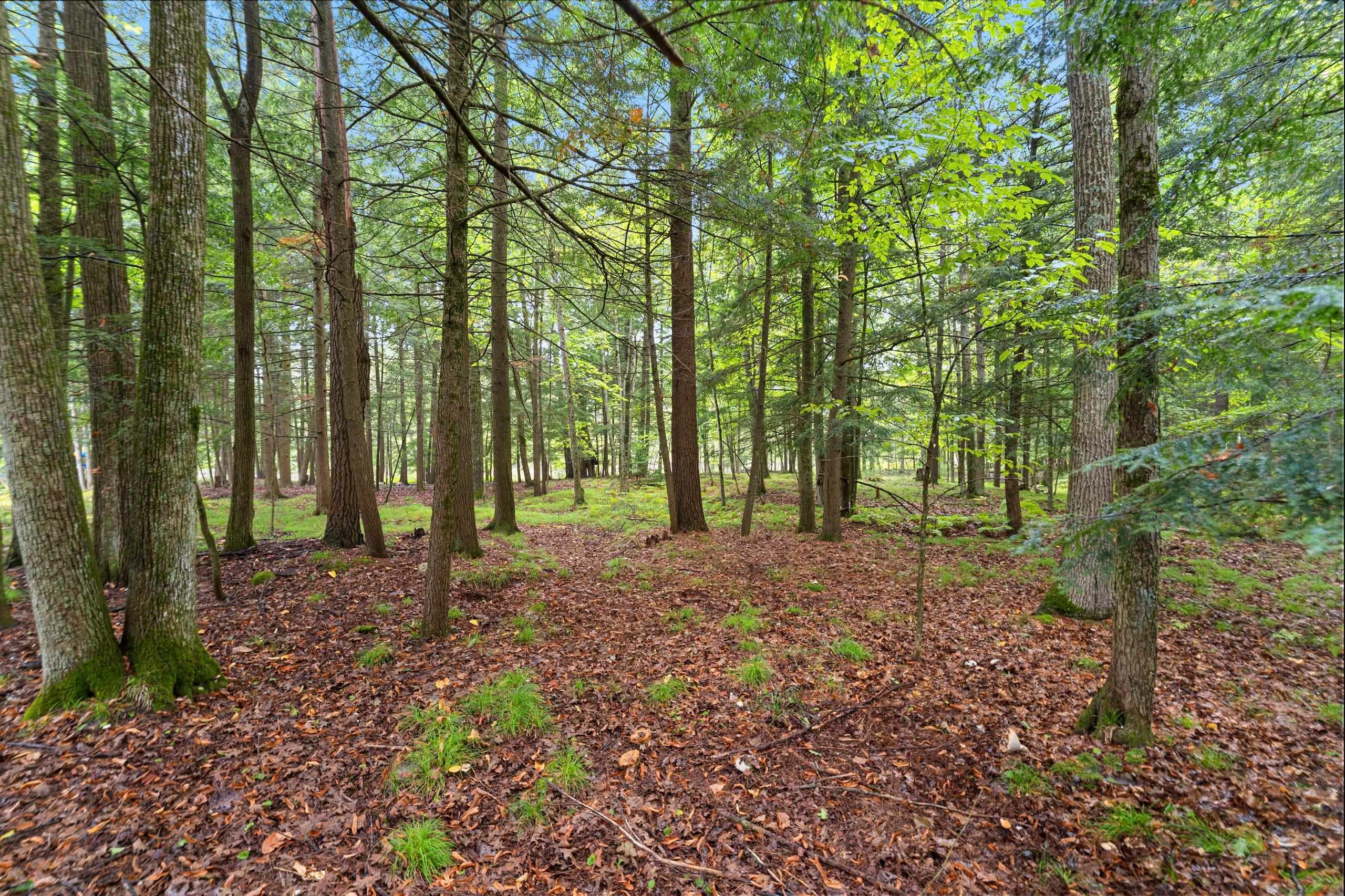 Property photo 60