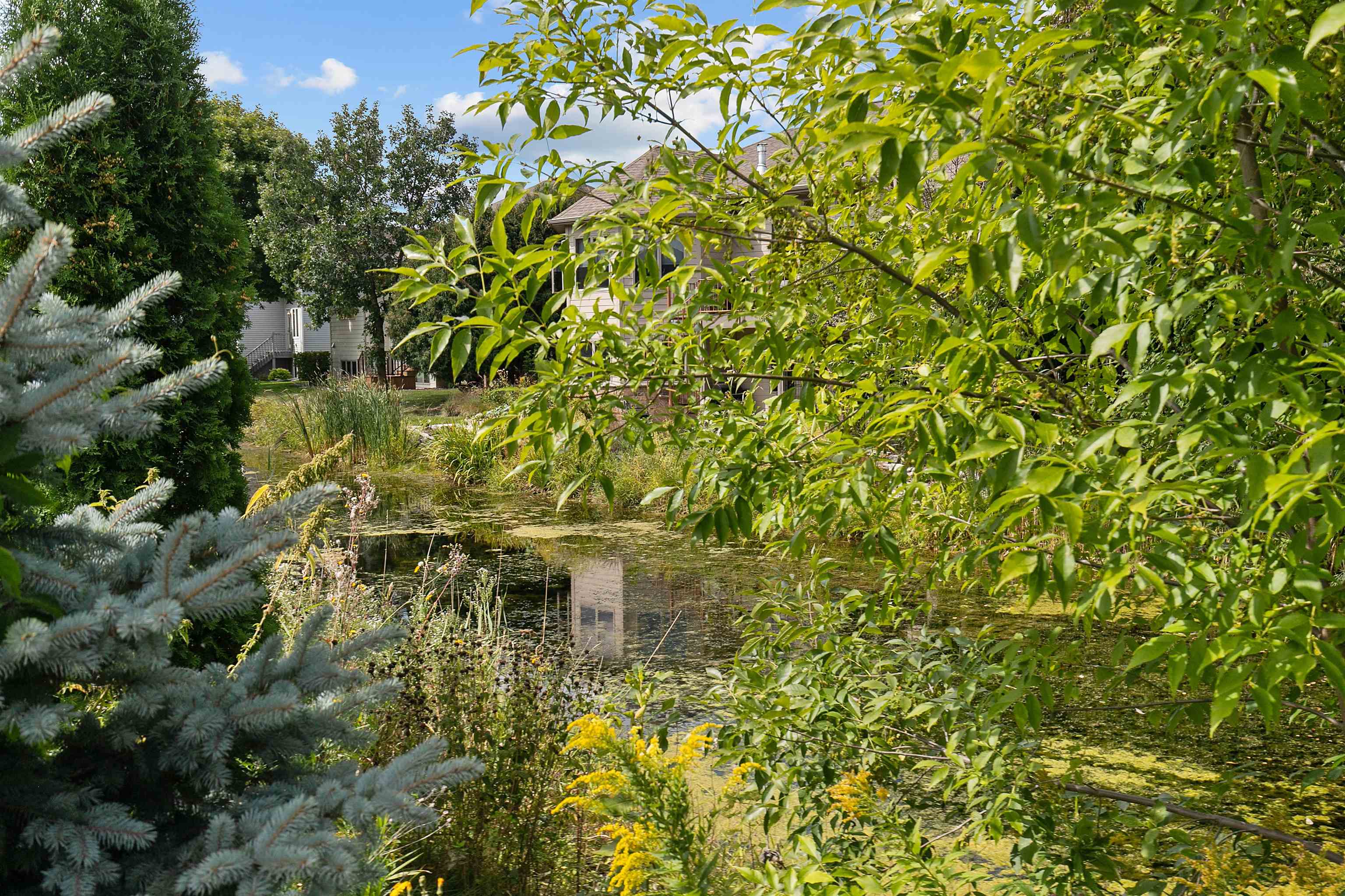Property photo 32