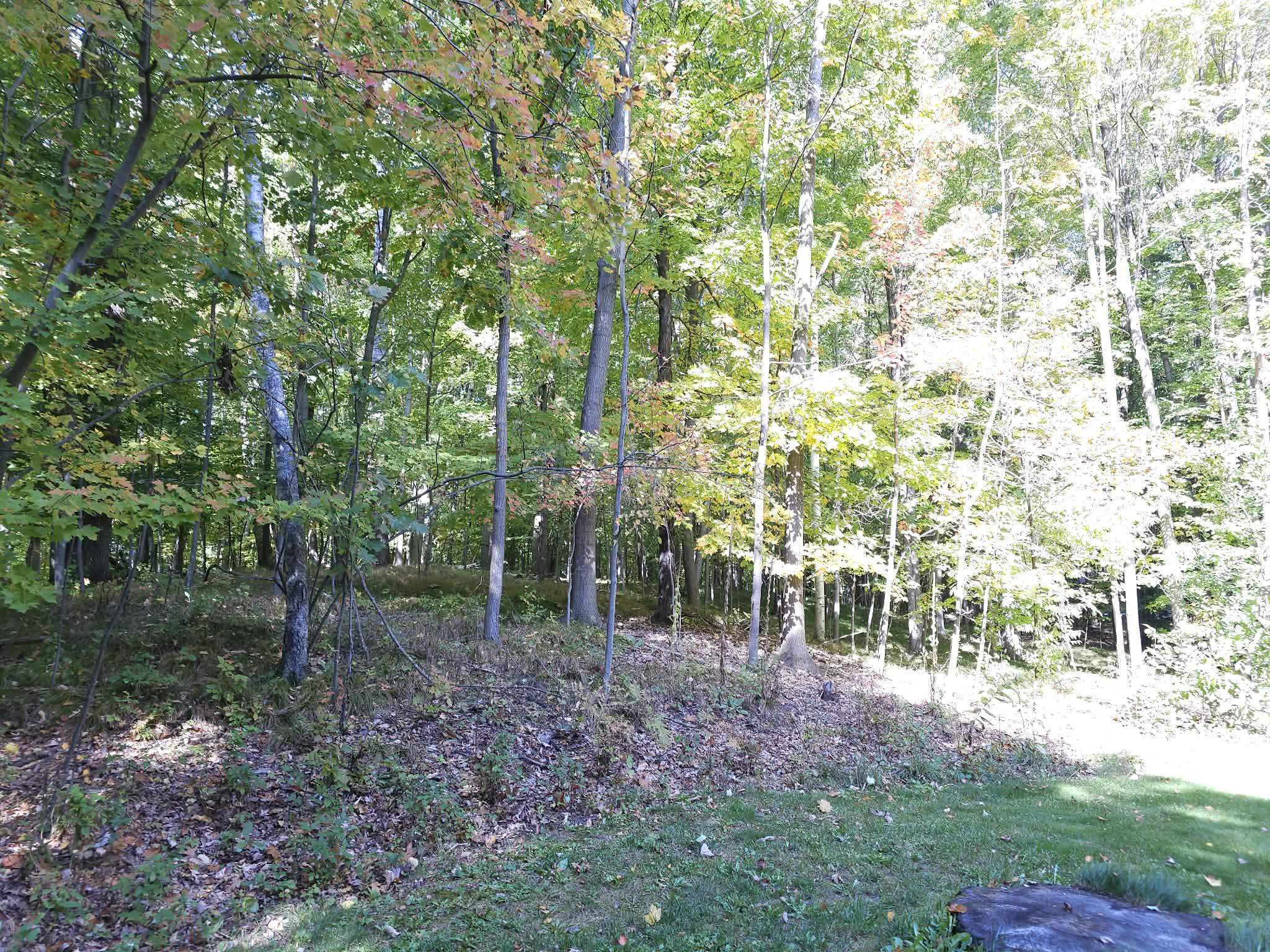 Property photo 52