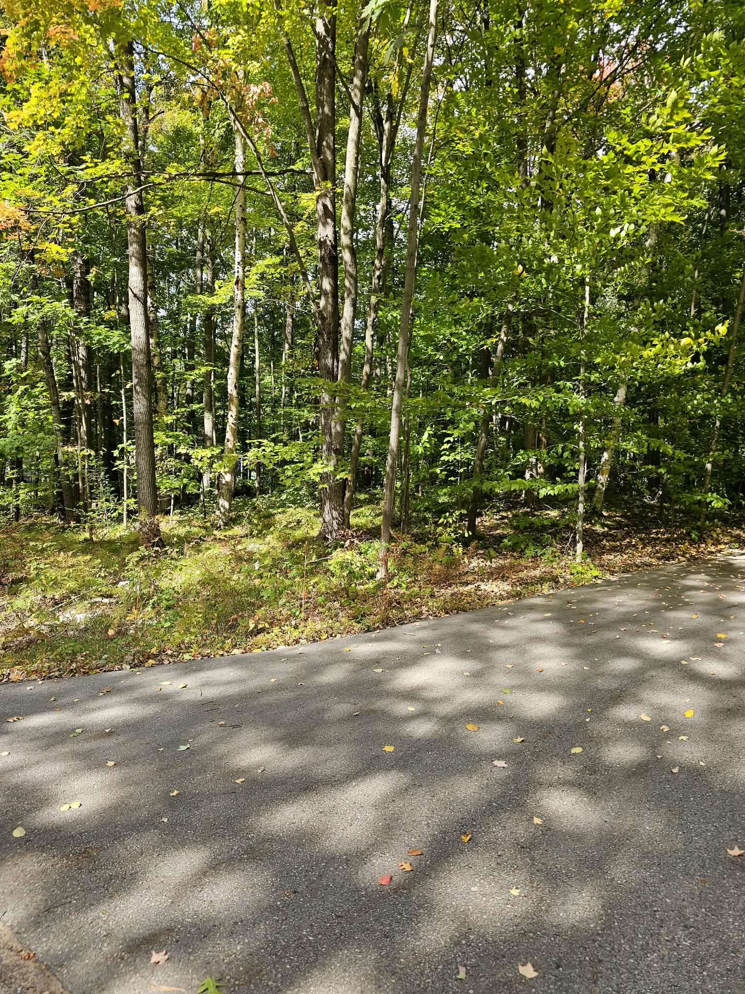 Property photo 57
