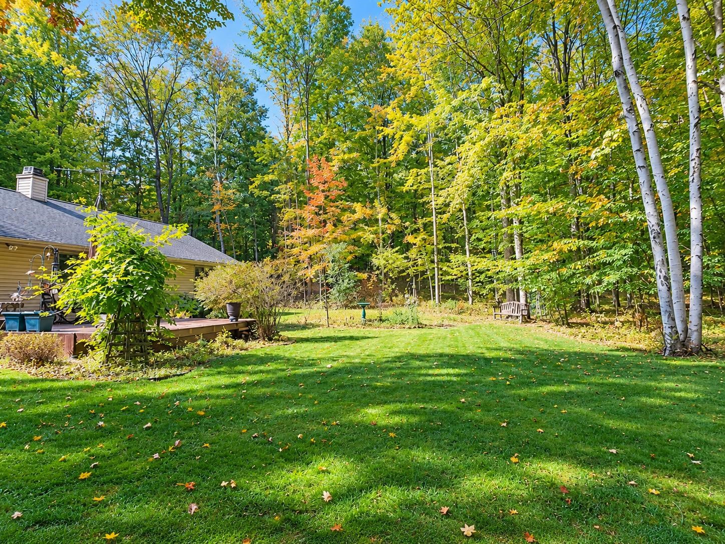 Property photo 49