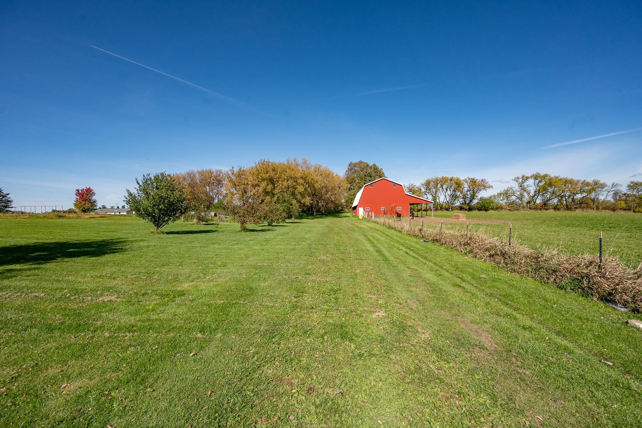 Property photo 64