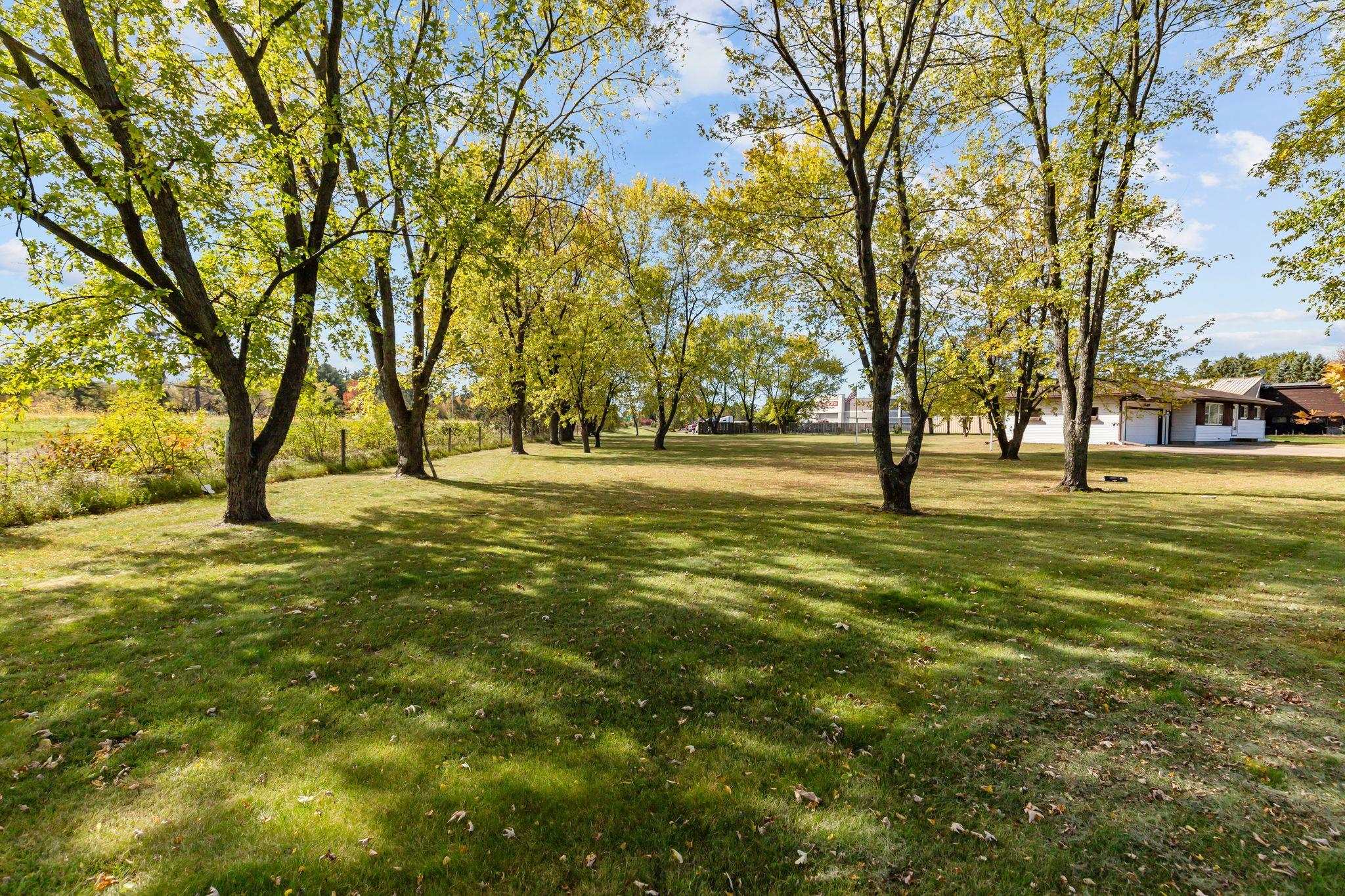 Property photo 42