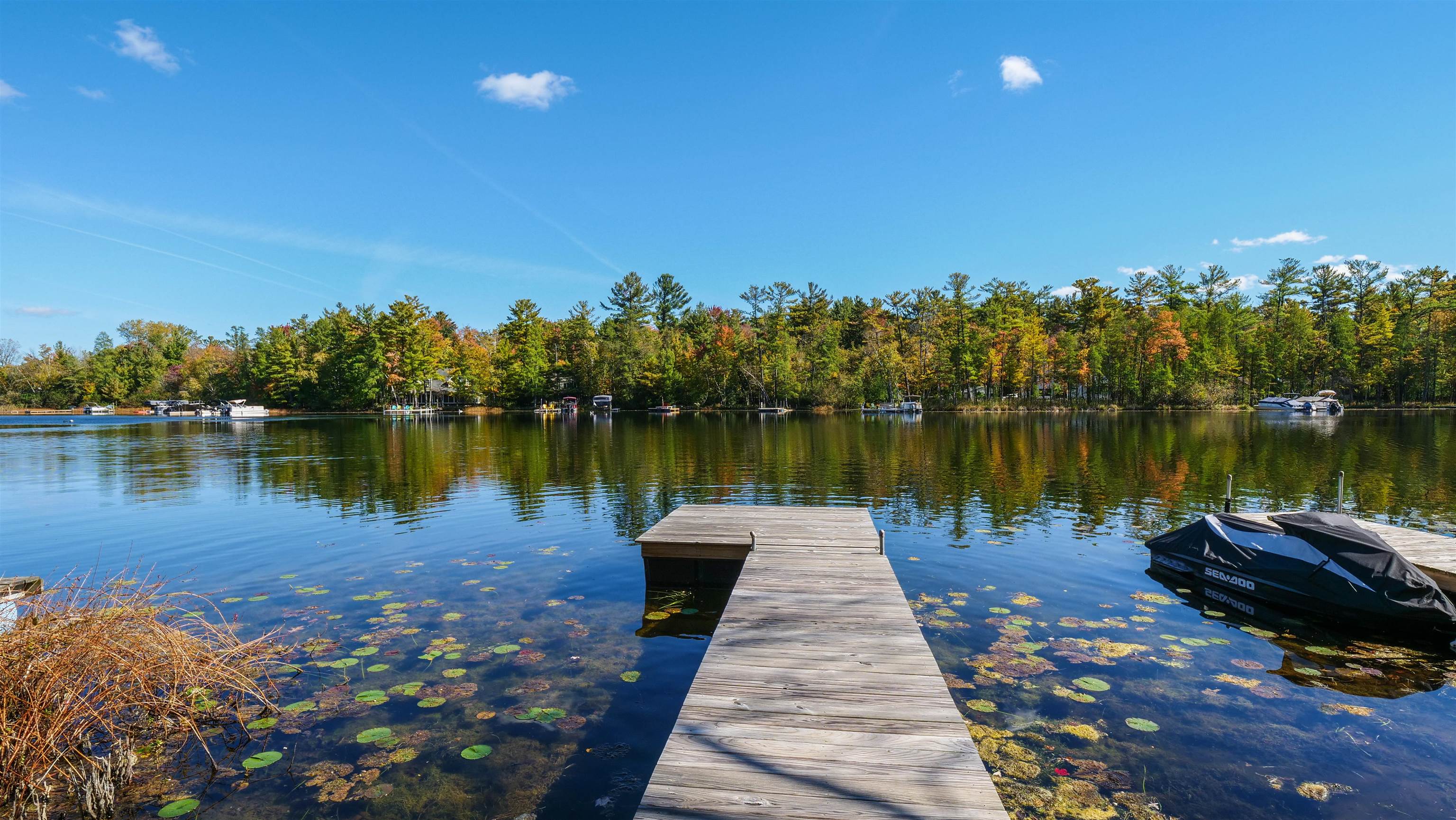 Property photo 41