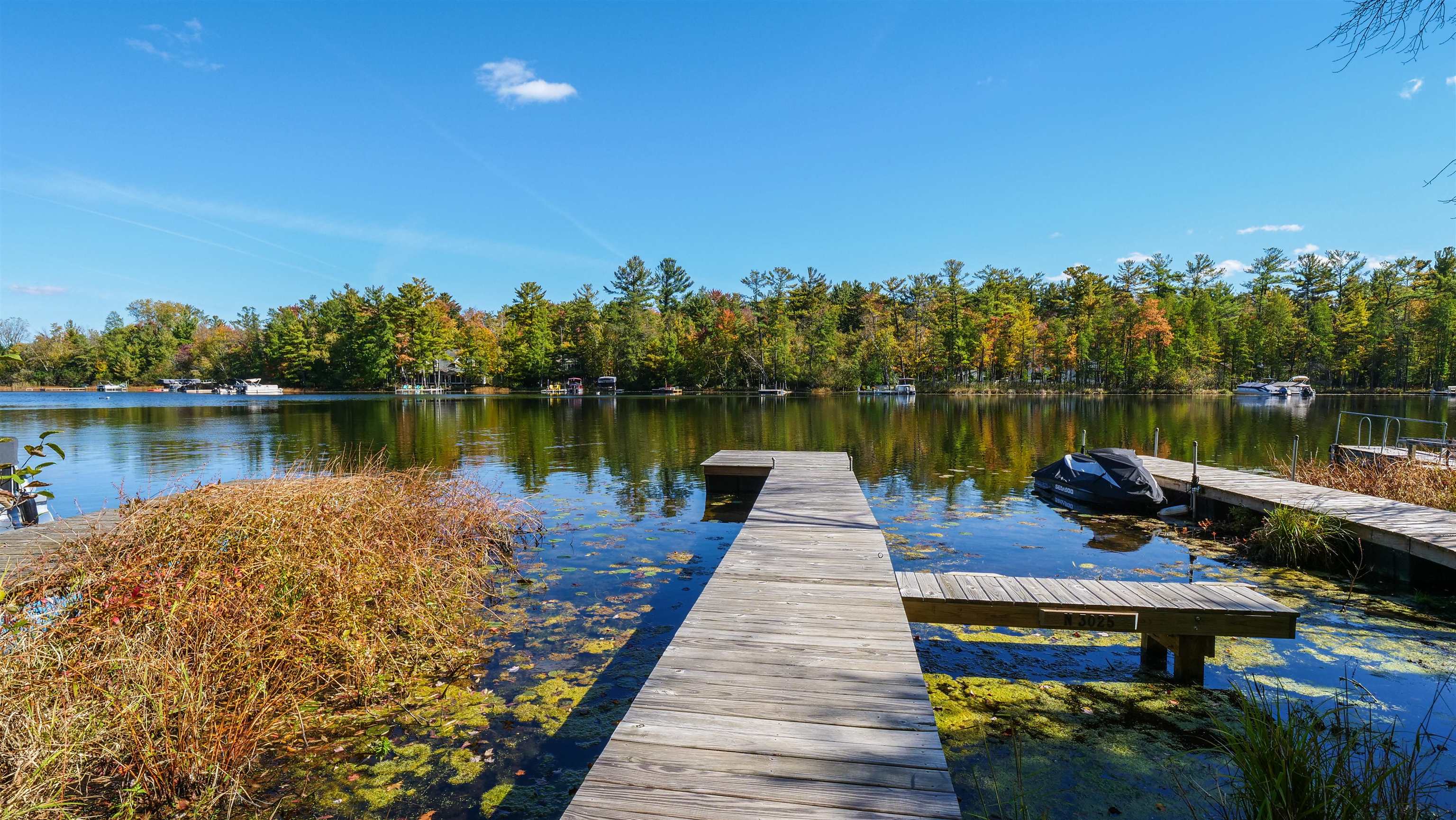 Property photo 43
