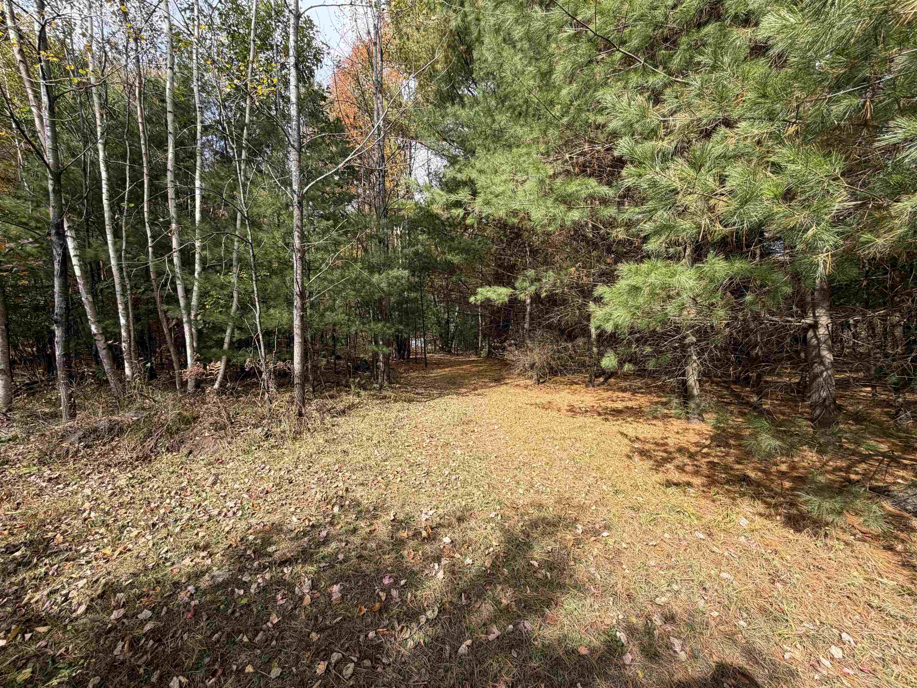 Property photo 32