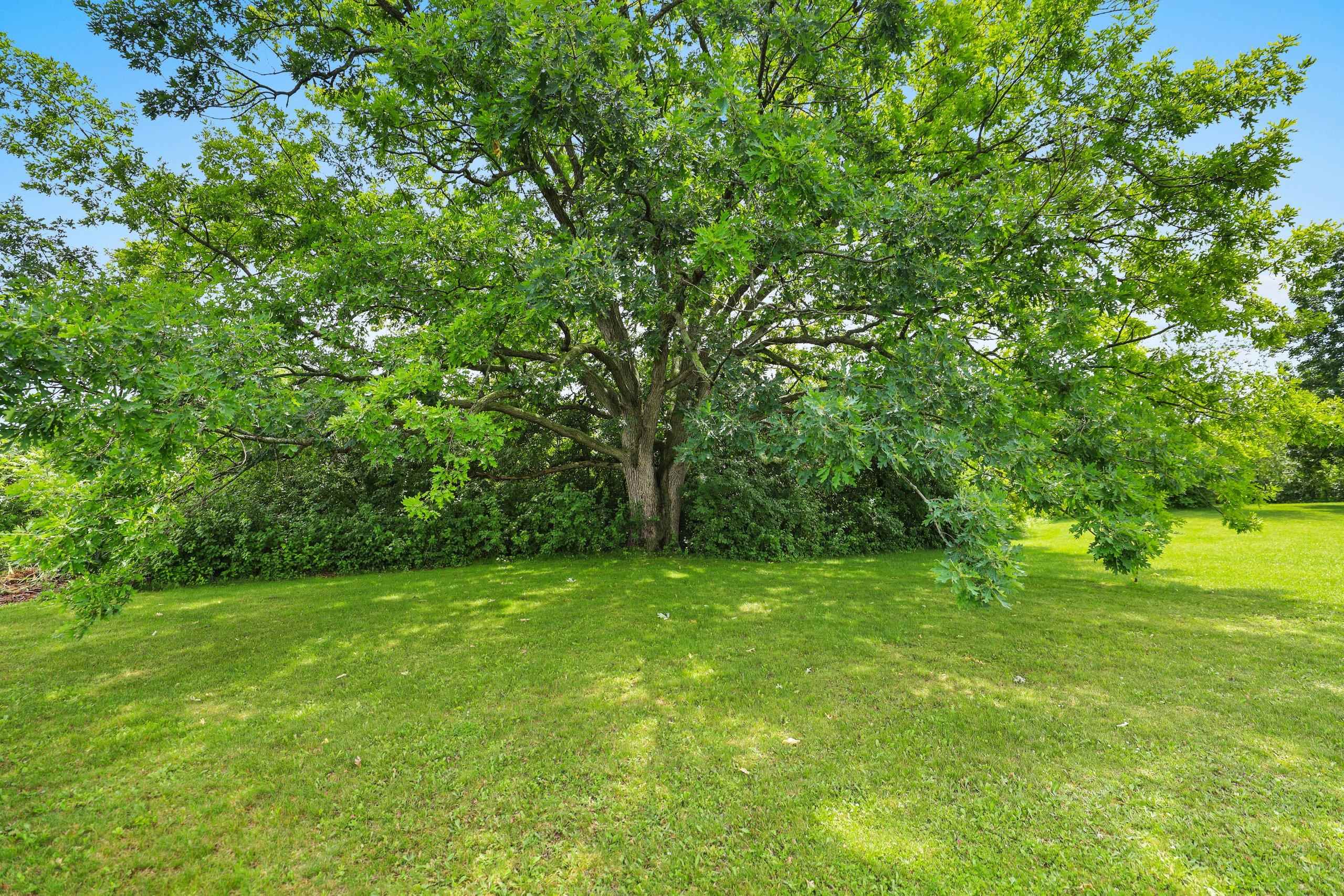 Property photo 46
