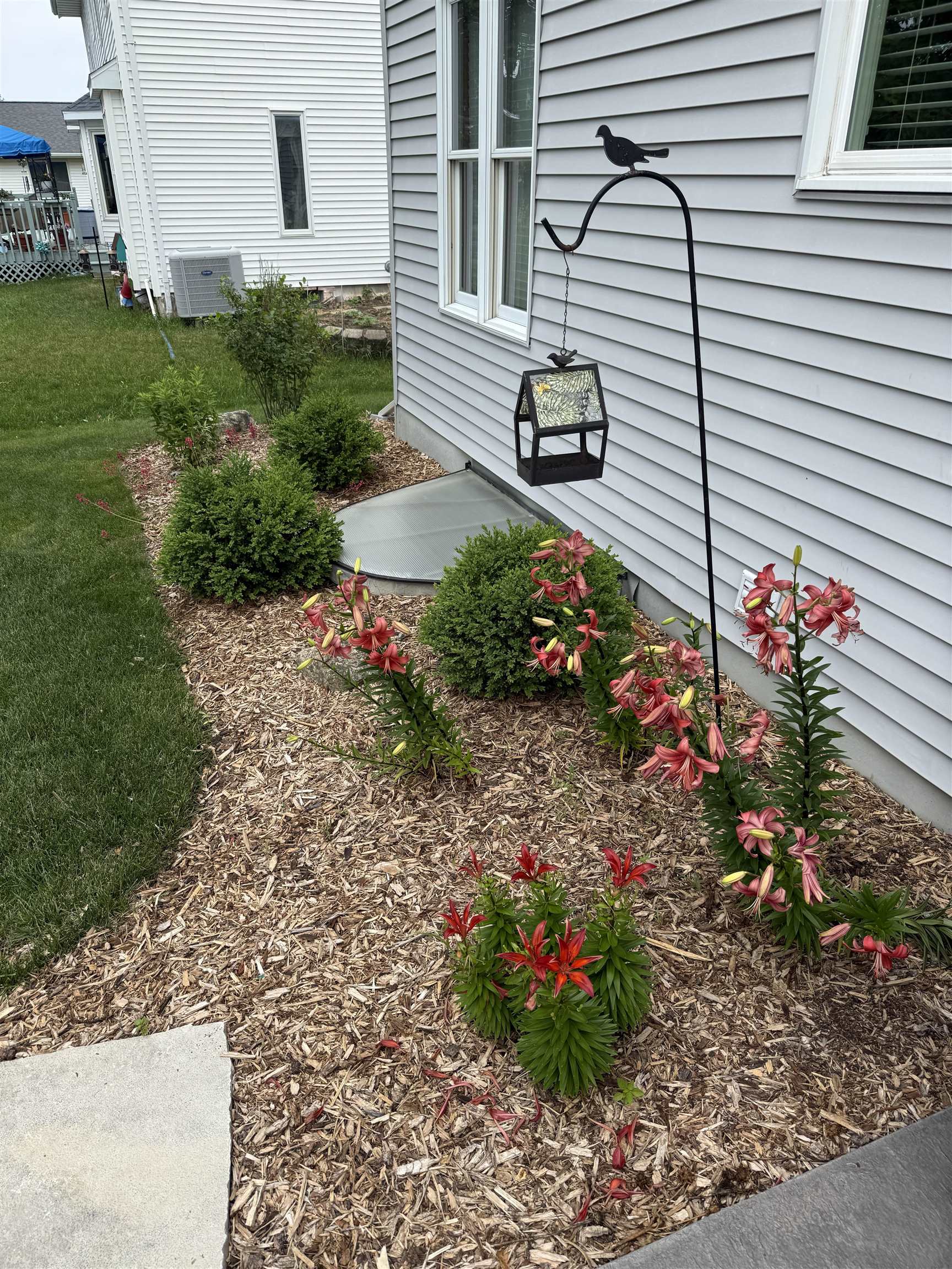 Property photo 47