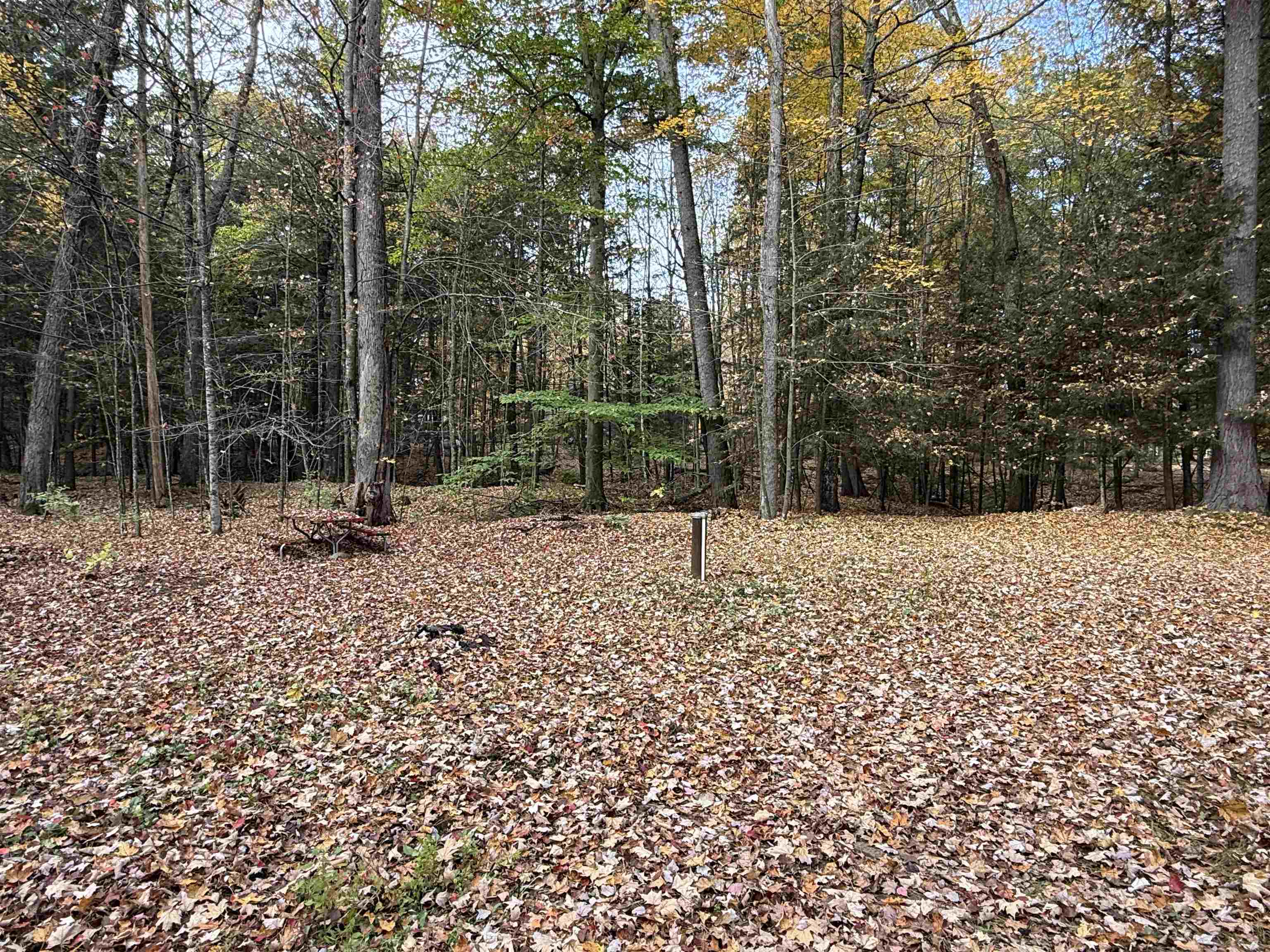 Property photo 22