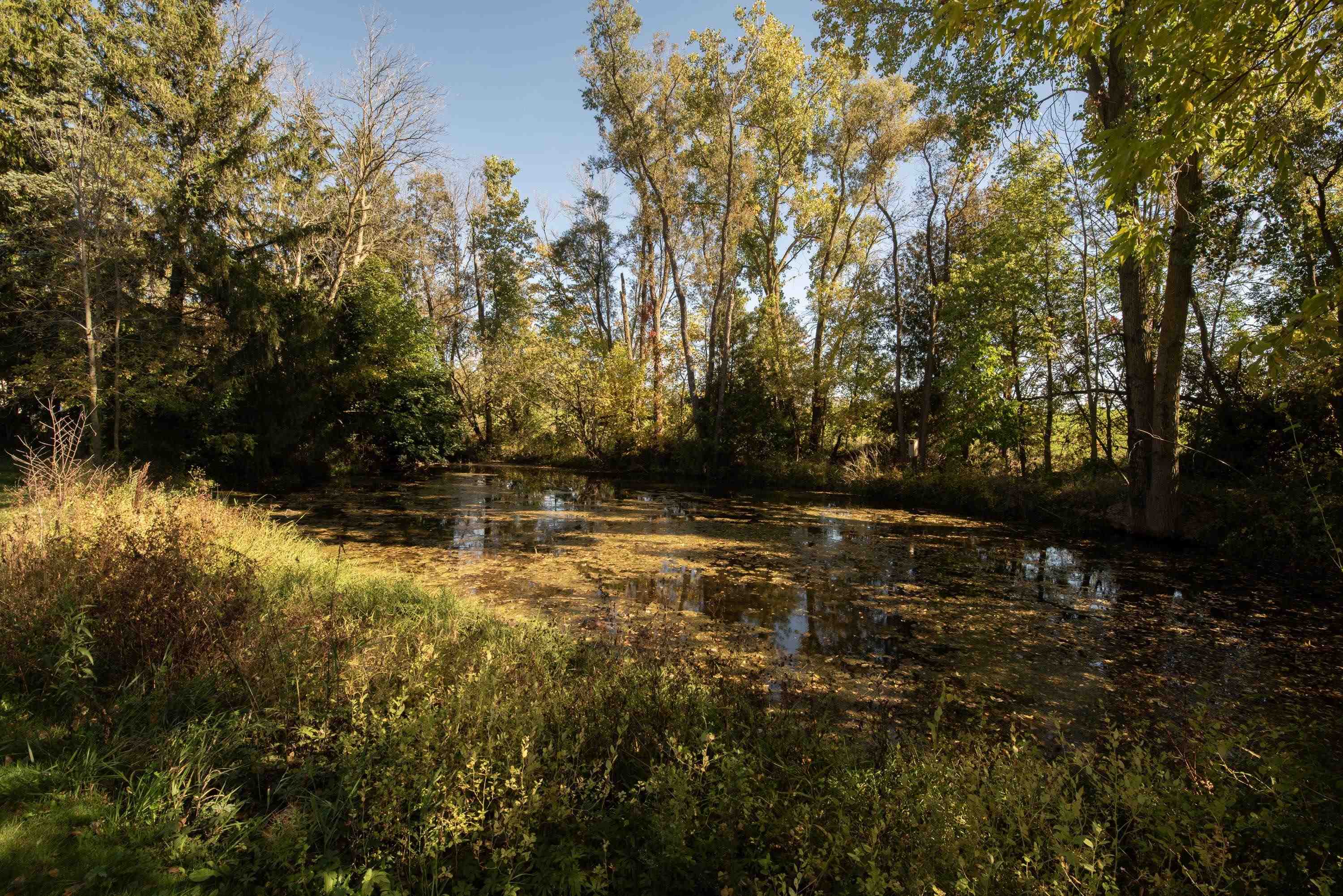 Property photo 21