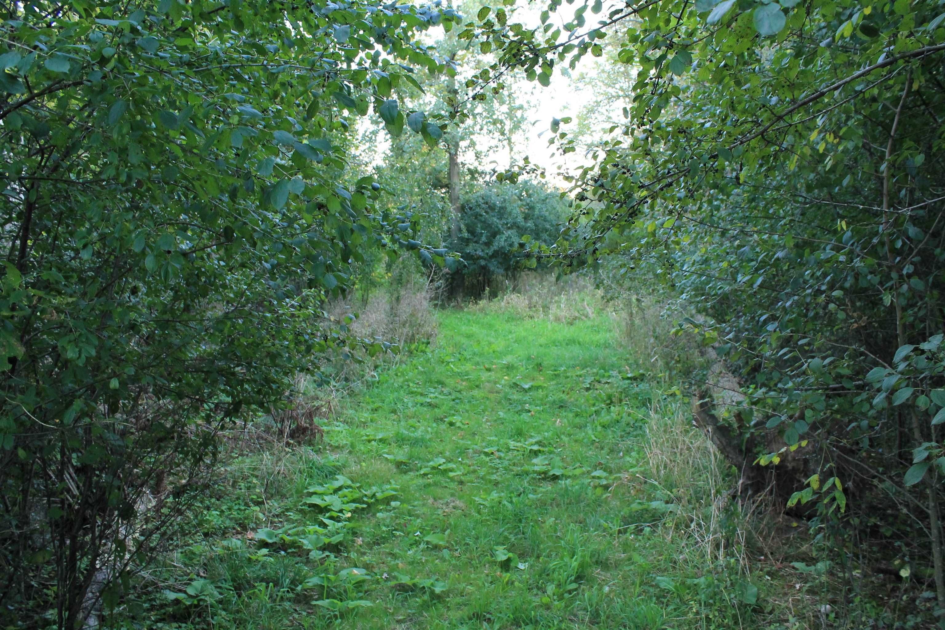 Property photo 17