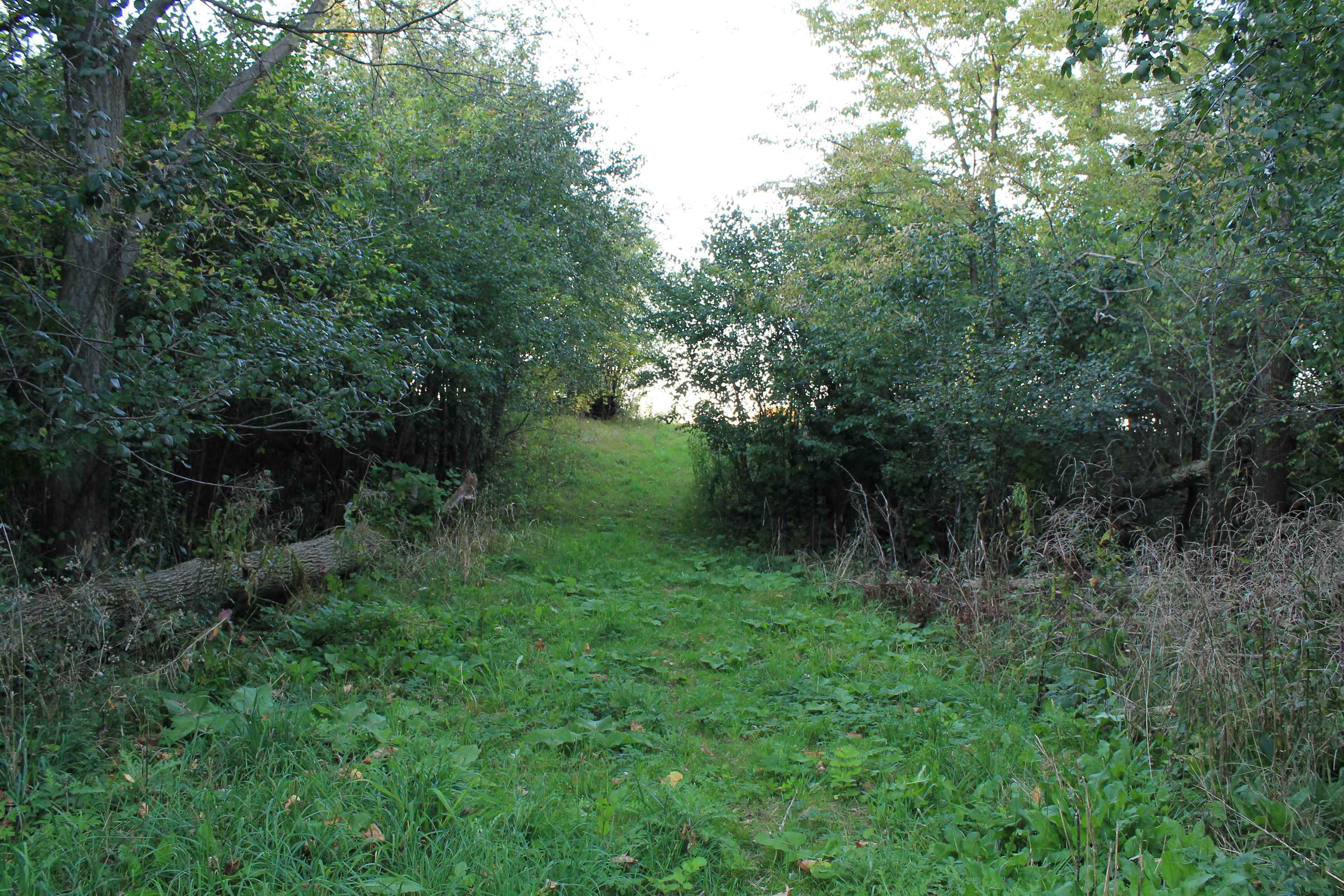 Property photo 21