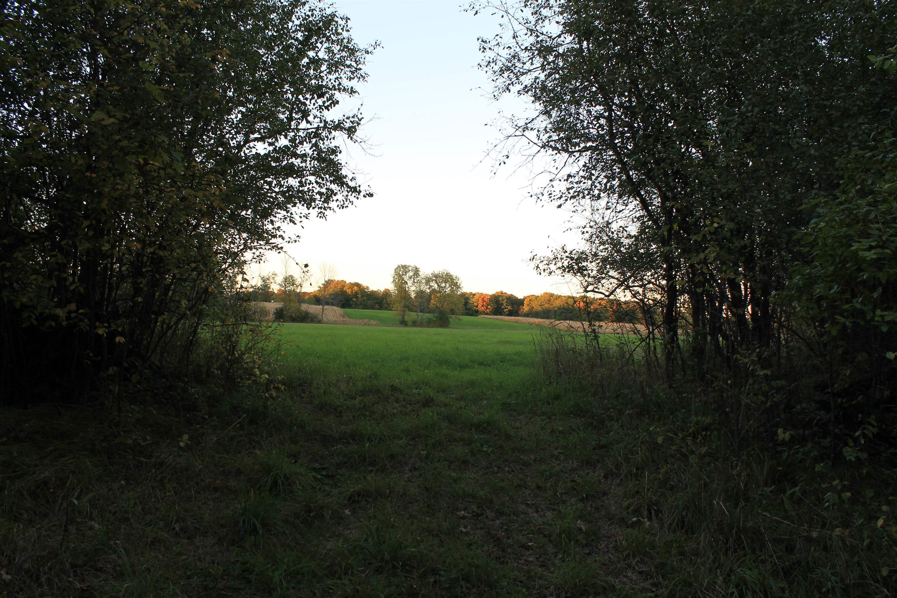 Property photo 22