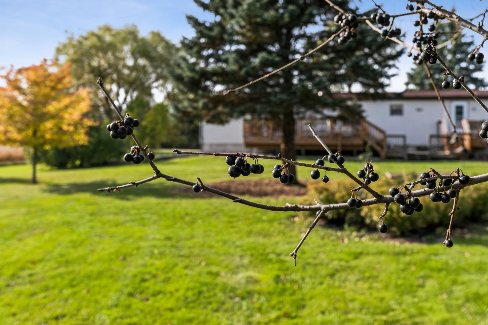 Property photo 34