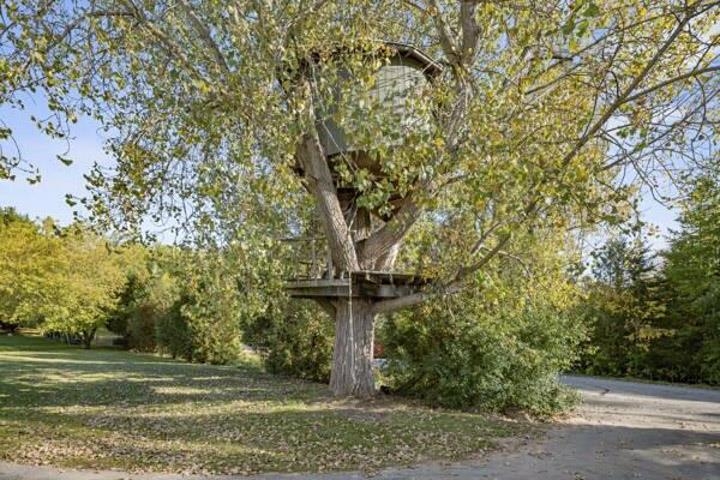 Property photo 45