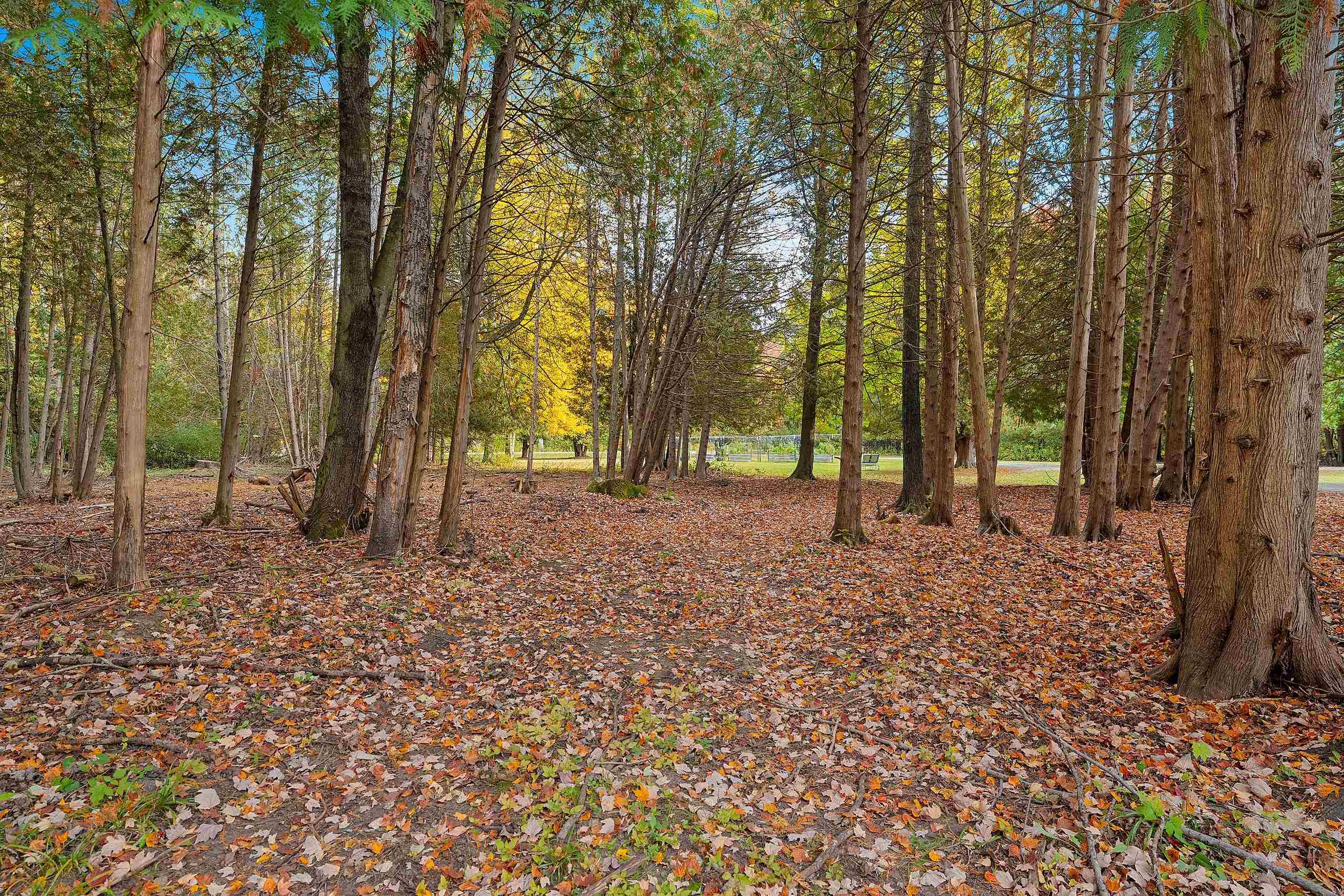 Property photo 57
