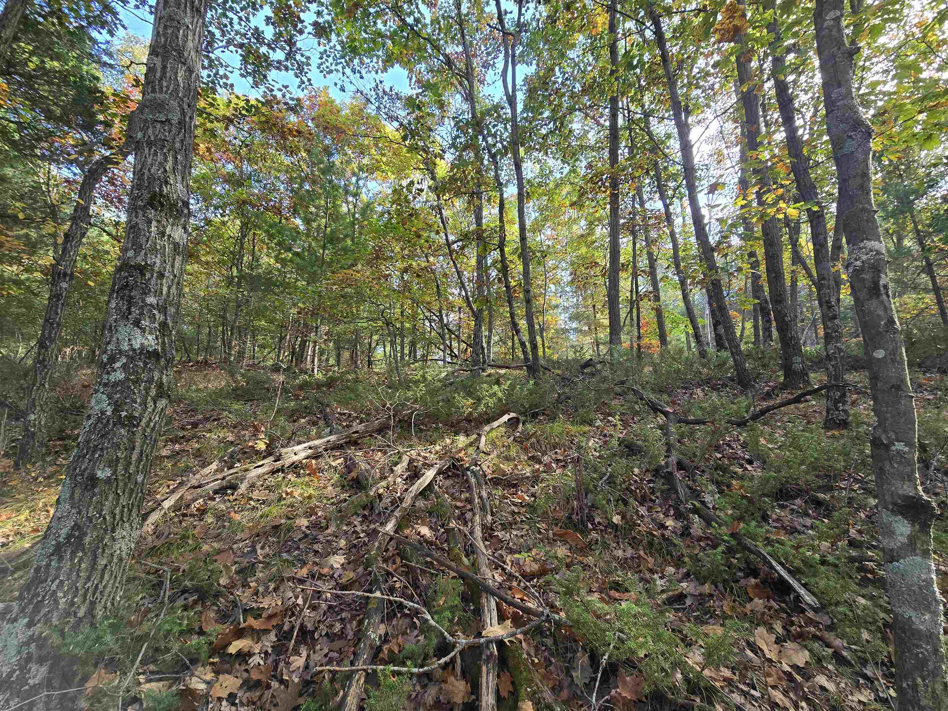 Property photo 16