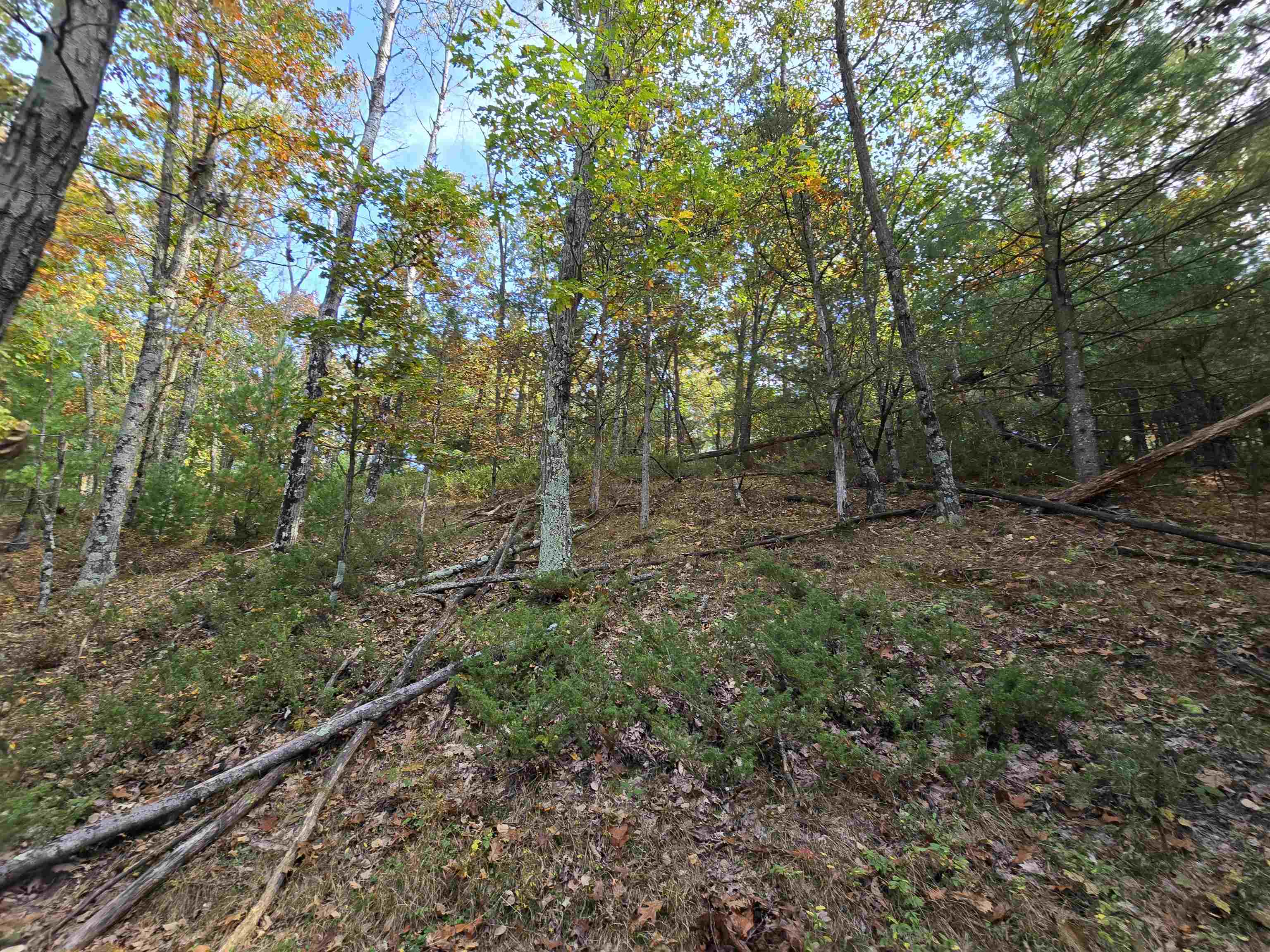 Property photo 18