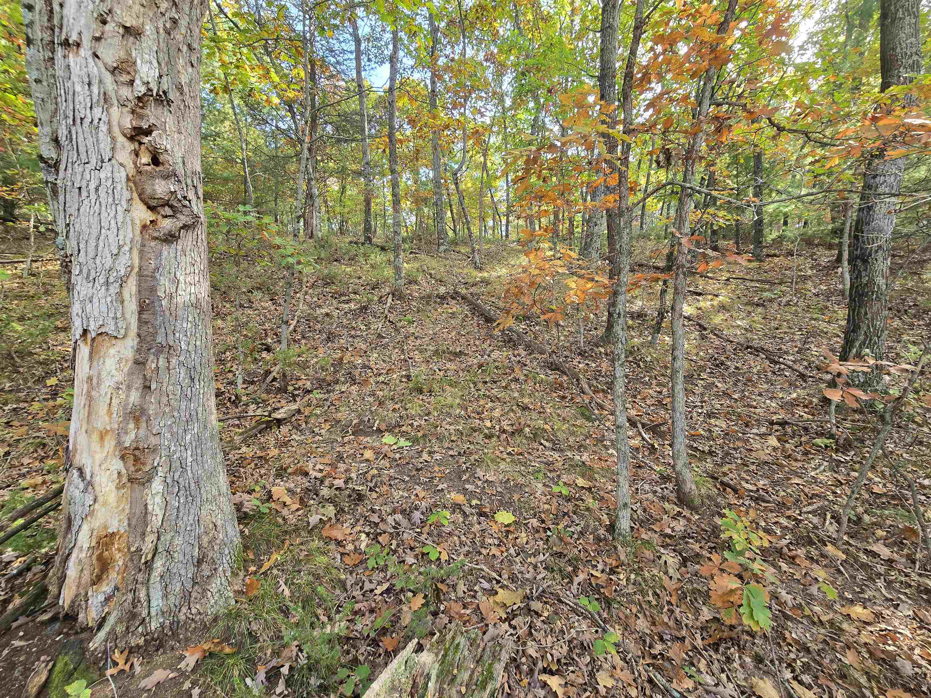Property photo 21