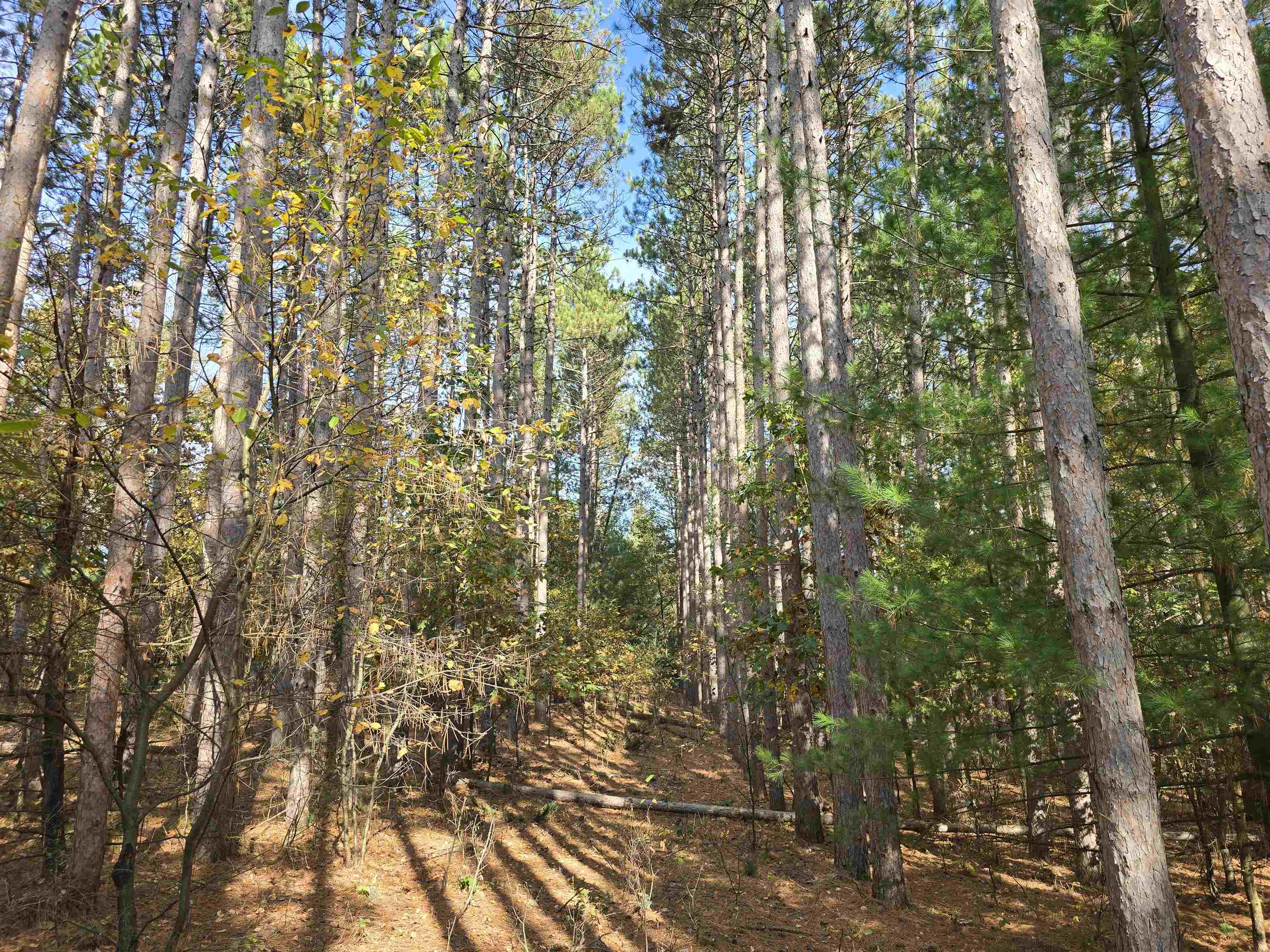 Property photo 31
