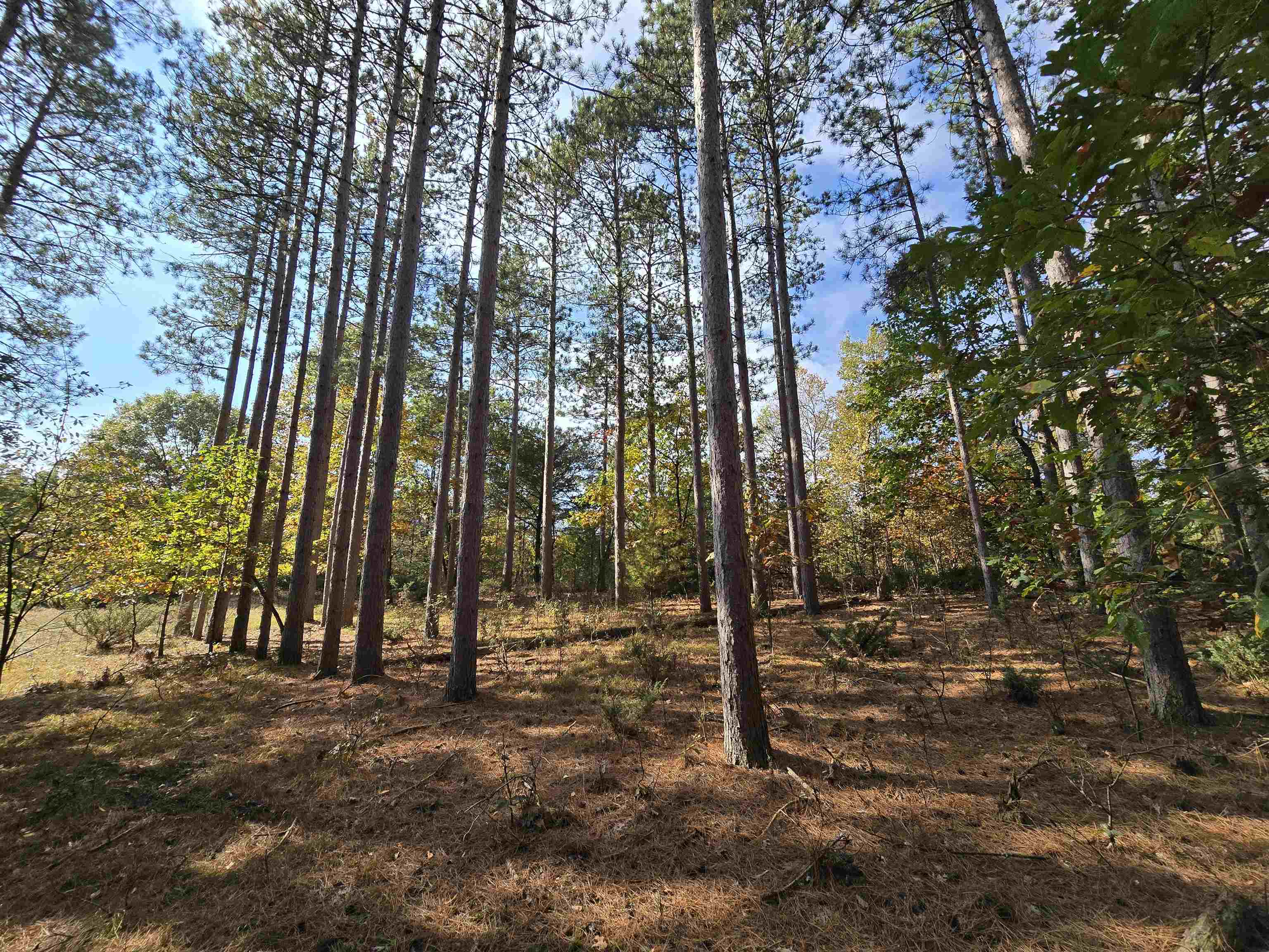 Property photo 32
