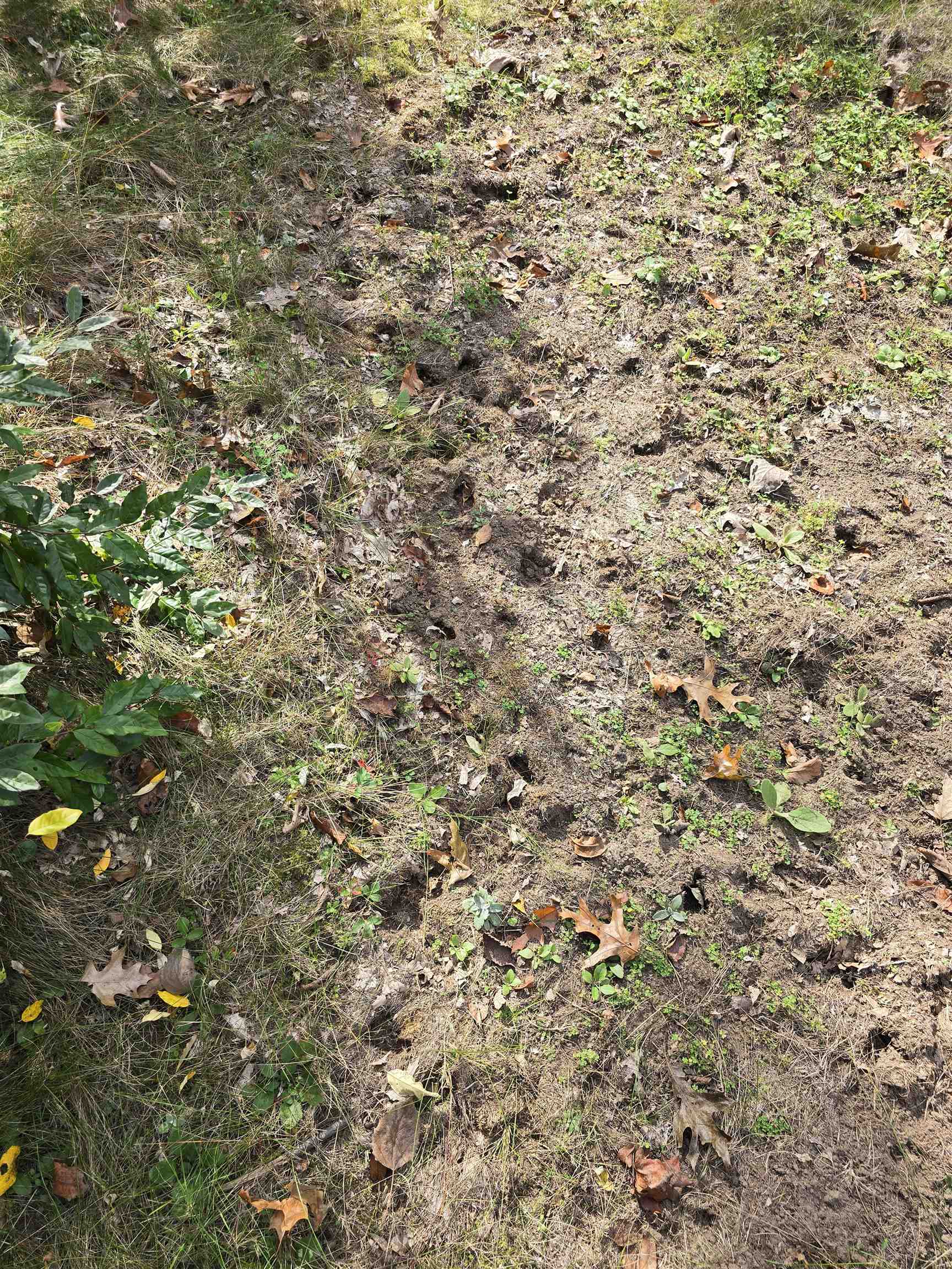 Property photo 34